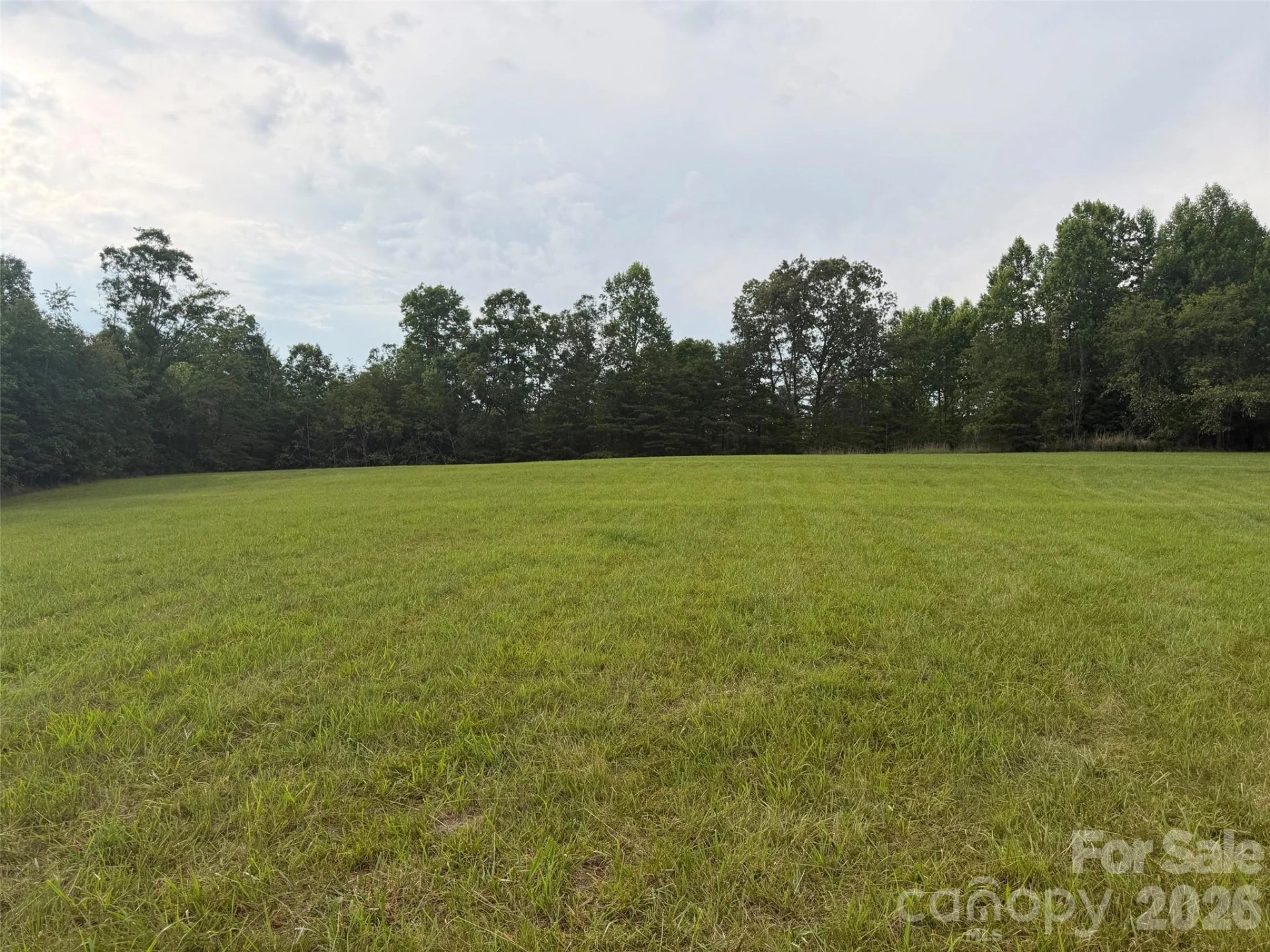Lot 6 Parker Padgett Road - Photo 6