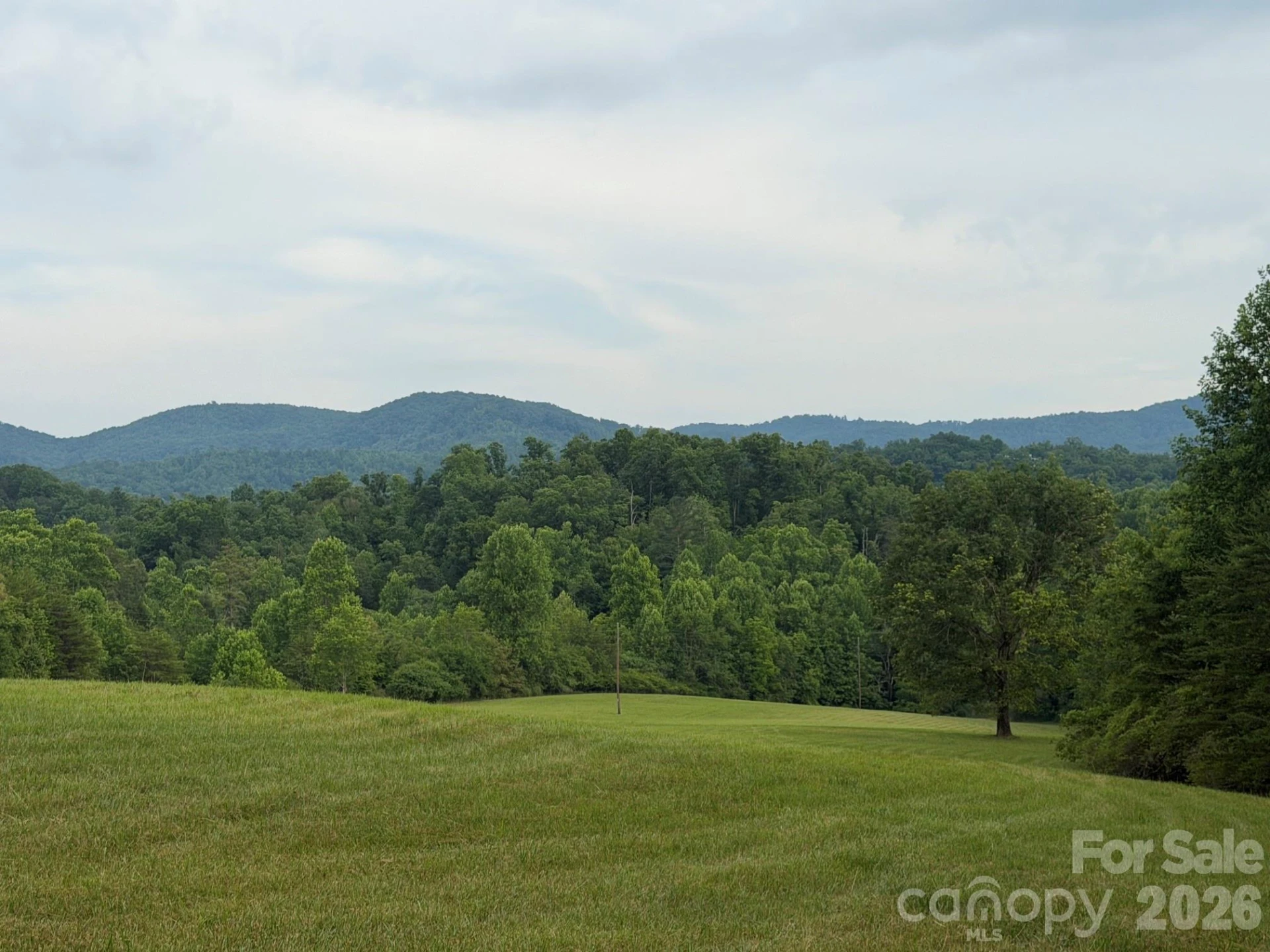 Lot 6 Parker Padgett Road - Photo 8