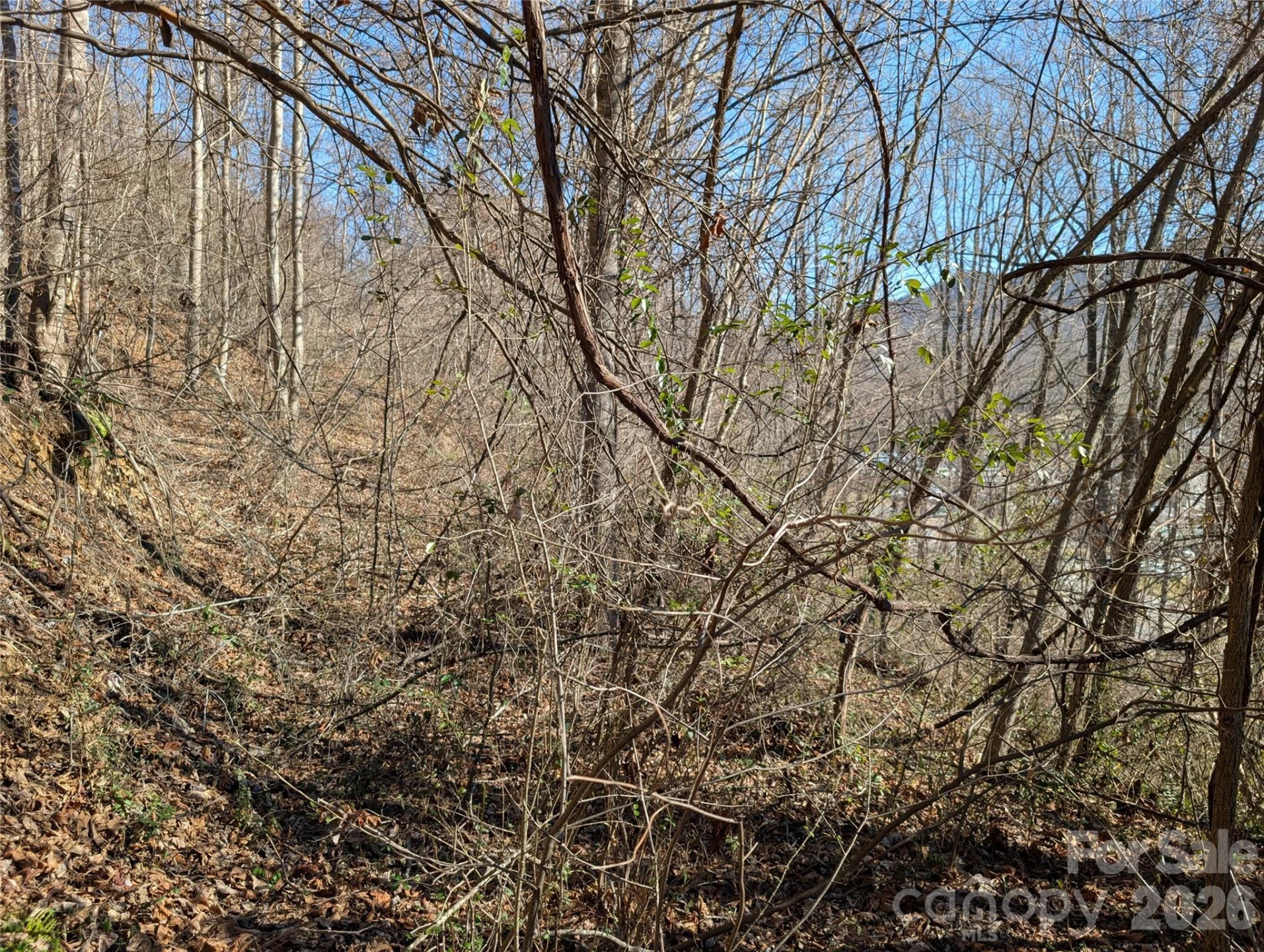 00 Great Smoky Mountain Expy Highway - Photo 6
