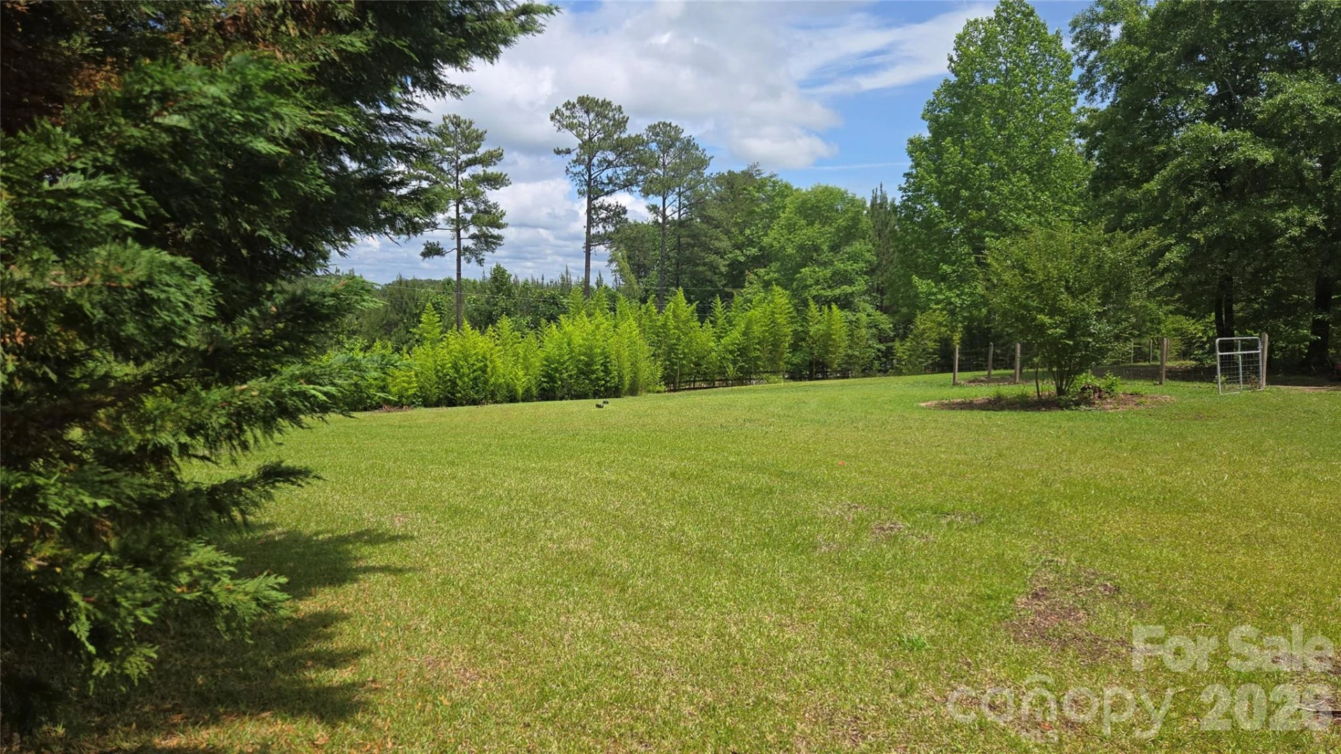 66 Misery Ridge Trail - Photo 3
