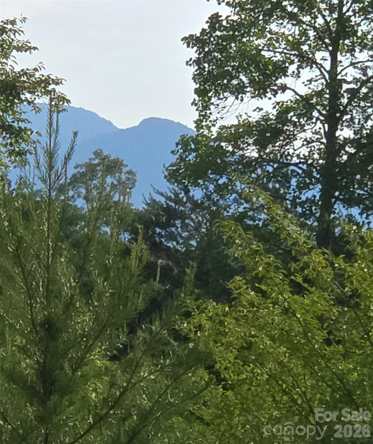 66 Misery Ridge Trail - Photo 45