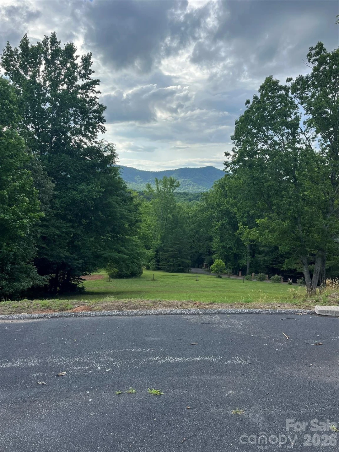 354 Woodland Drive - Photo 4