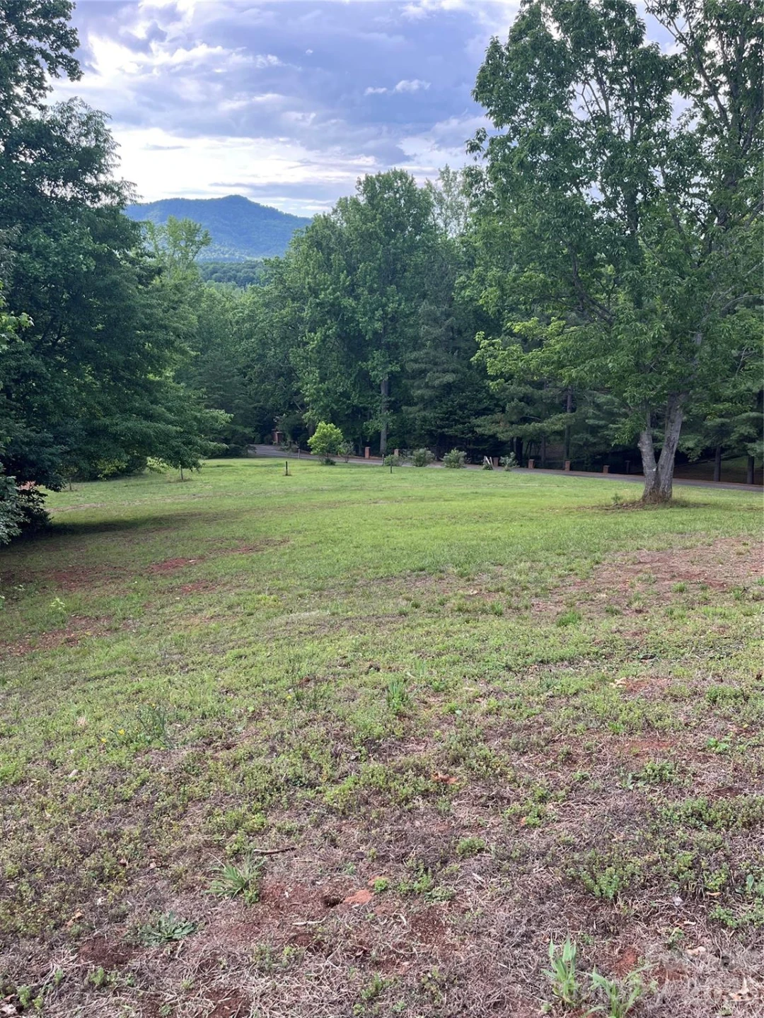 354 Woodland Drive - Photo 5