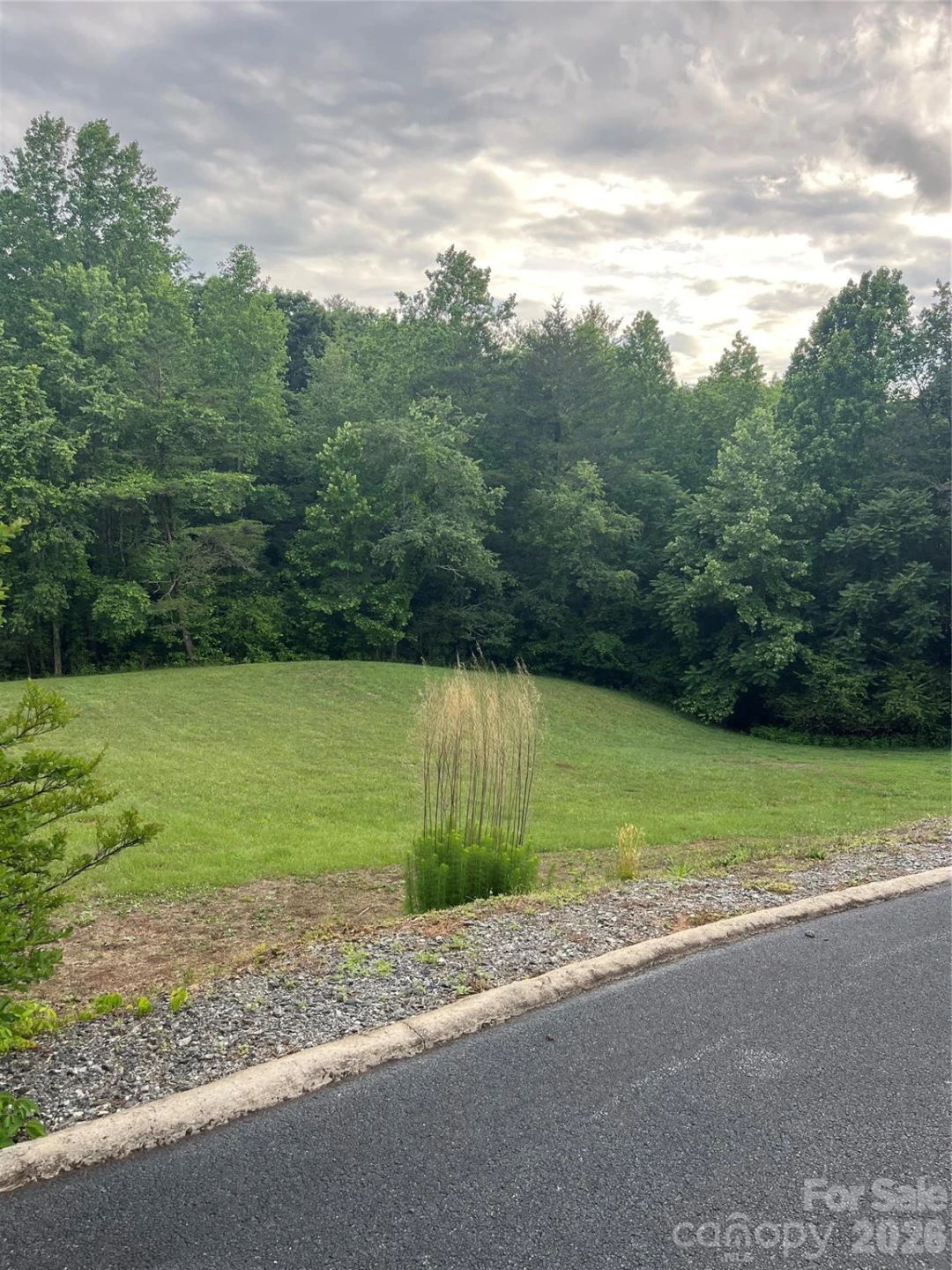 354 Woodland Drive - Photo 8