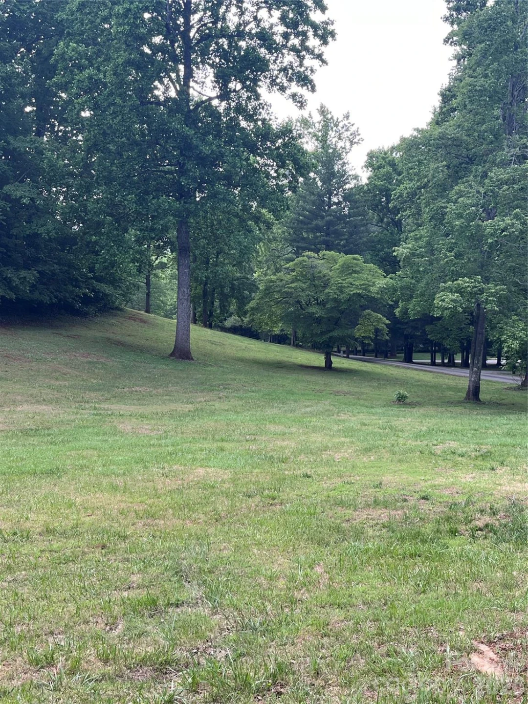354 Woodland Drive - Photo 9