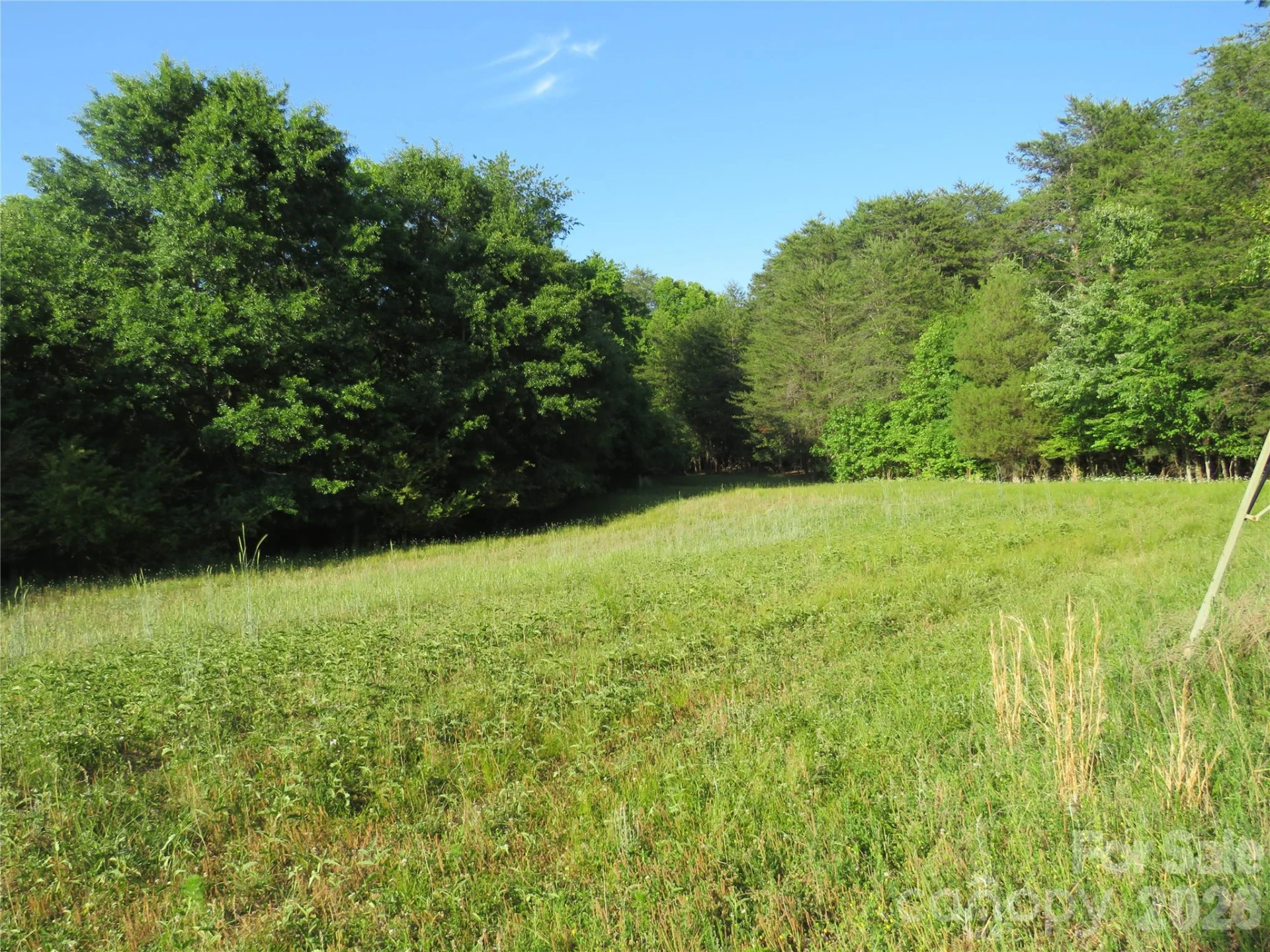262 Flat Rock Road - Photo 2