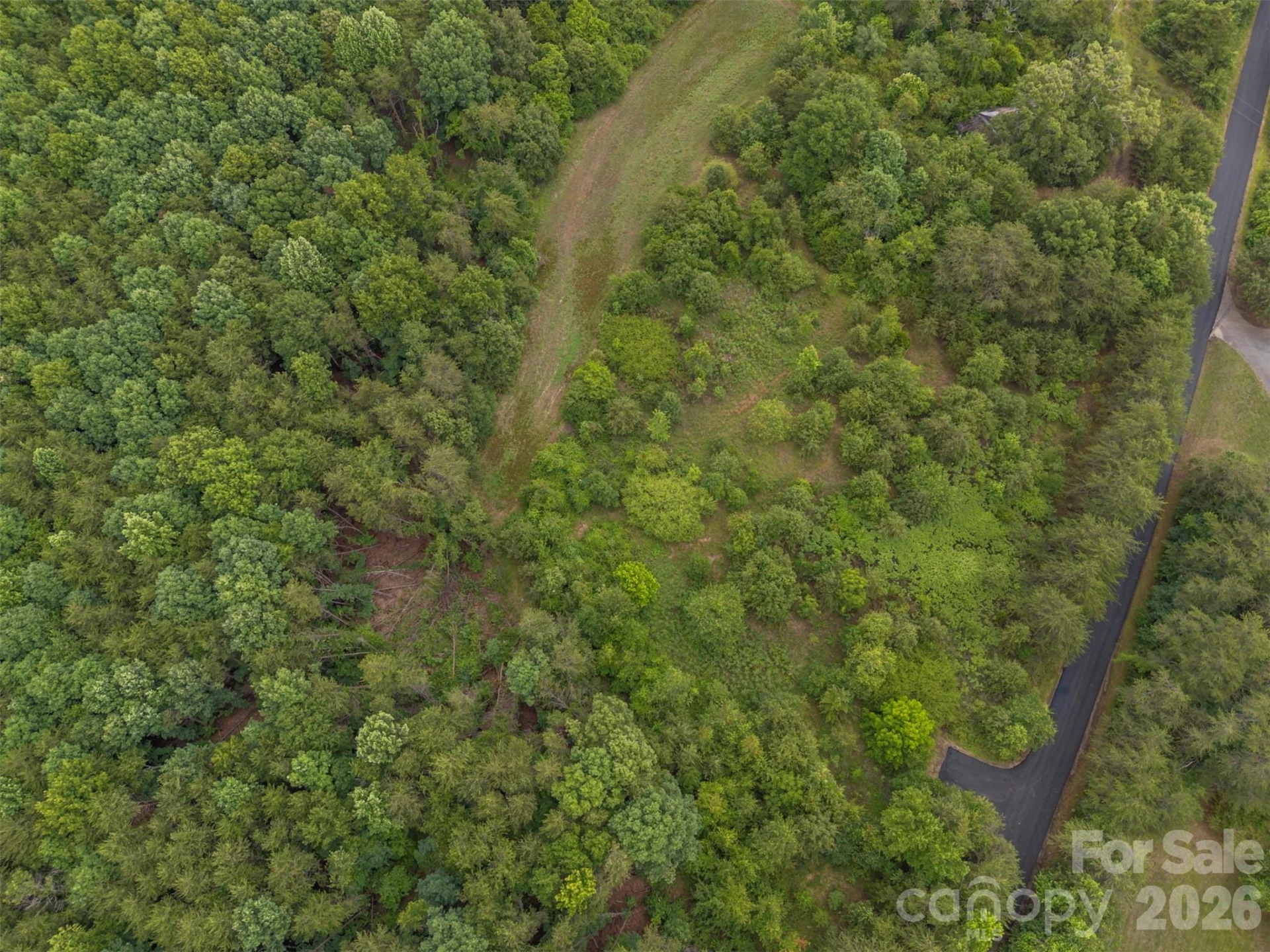 262 Flat Rock Road - Photo 11