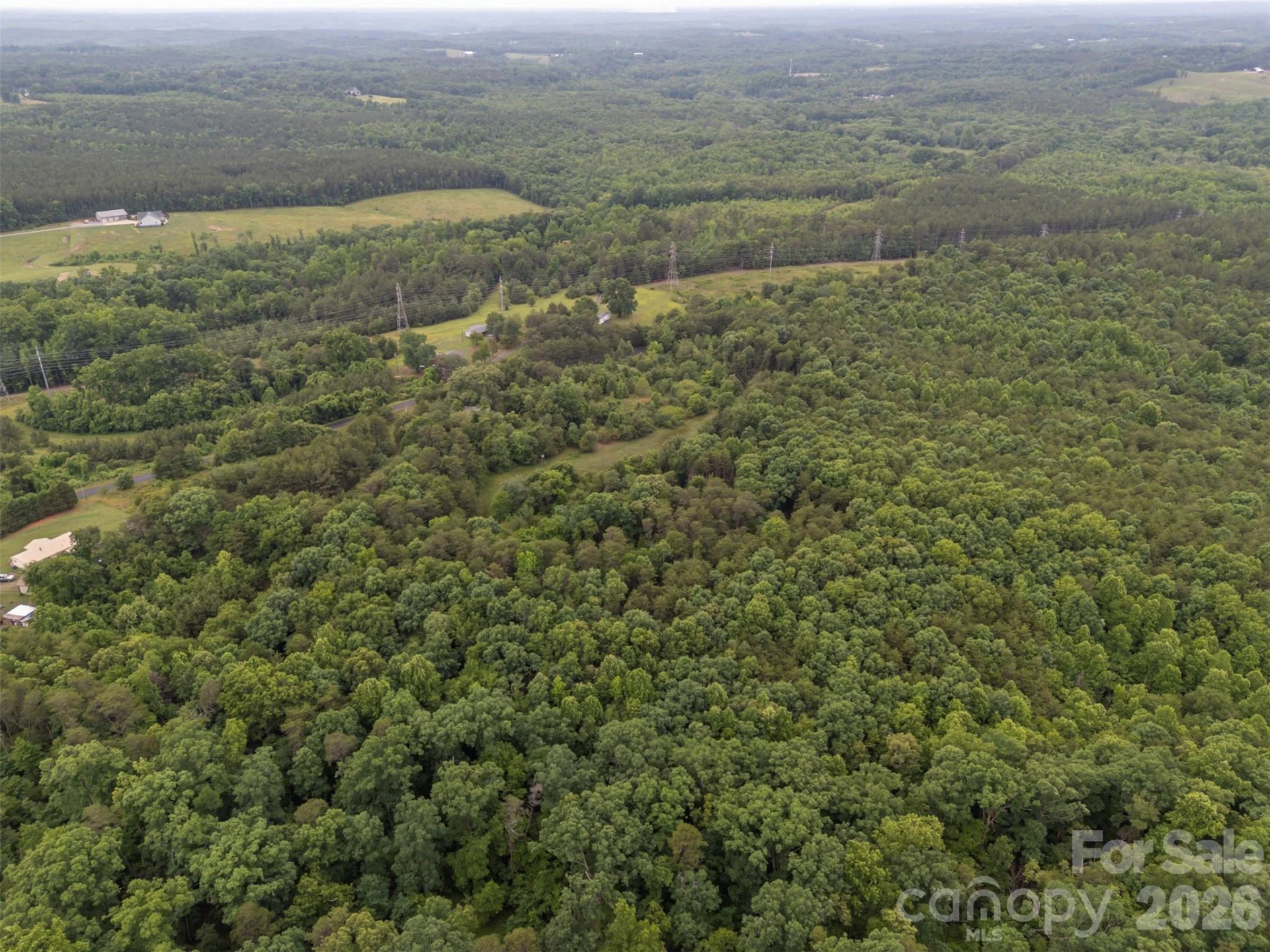 262 Flat Rock Road - Photo 13