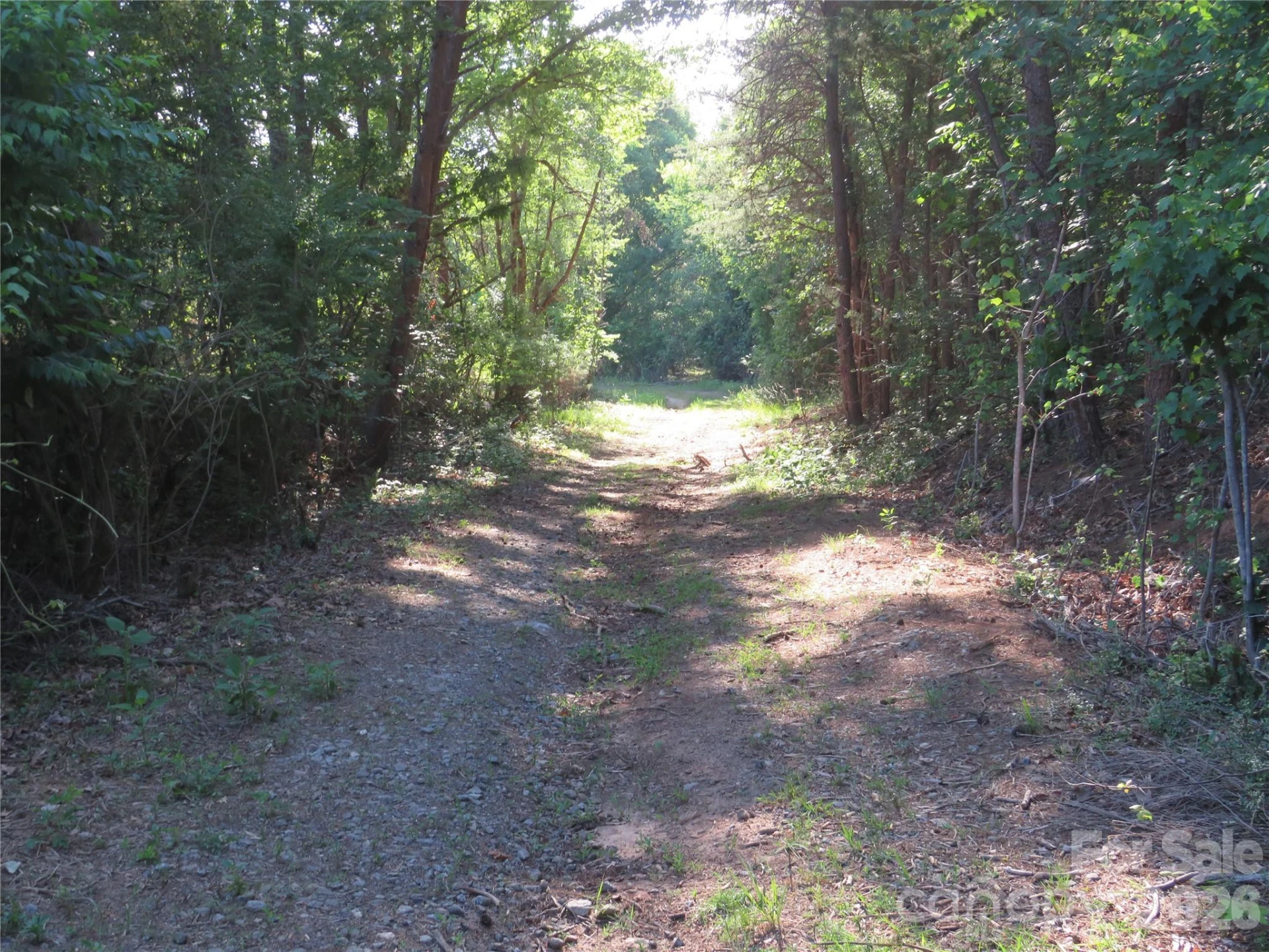 262 Flat Rock Road - Photo 19