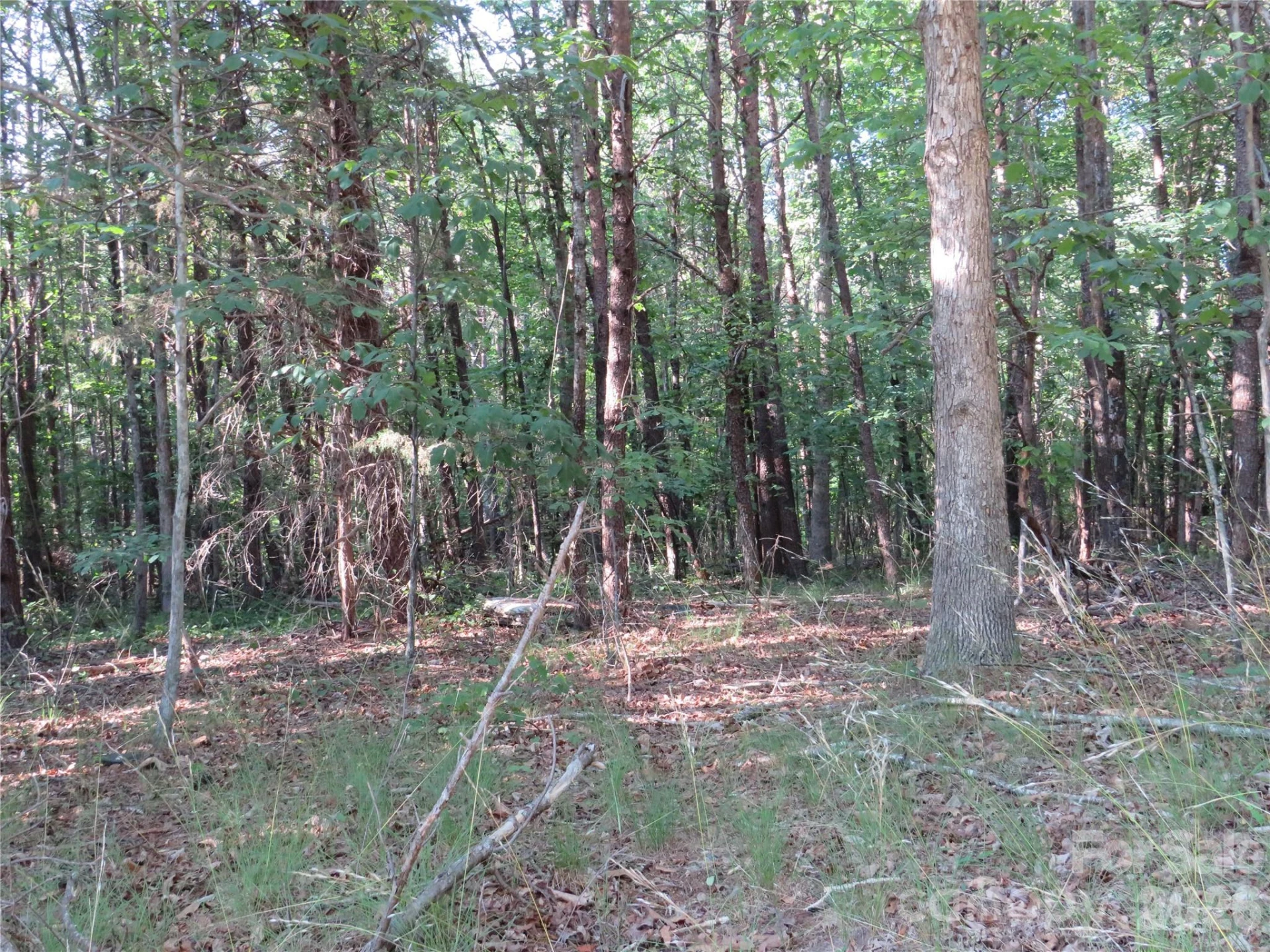 262 Flat Rock Road - Photo 20