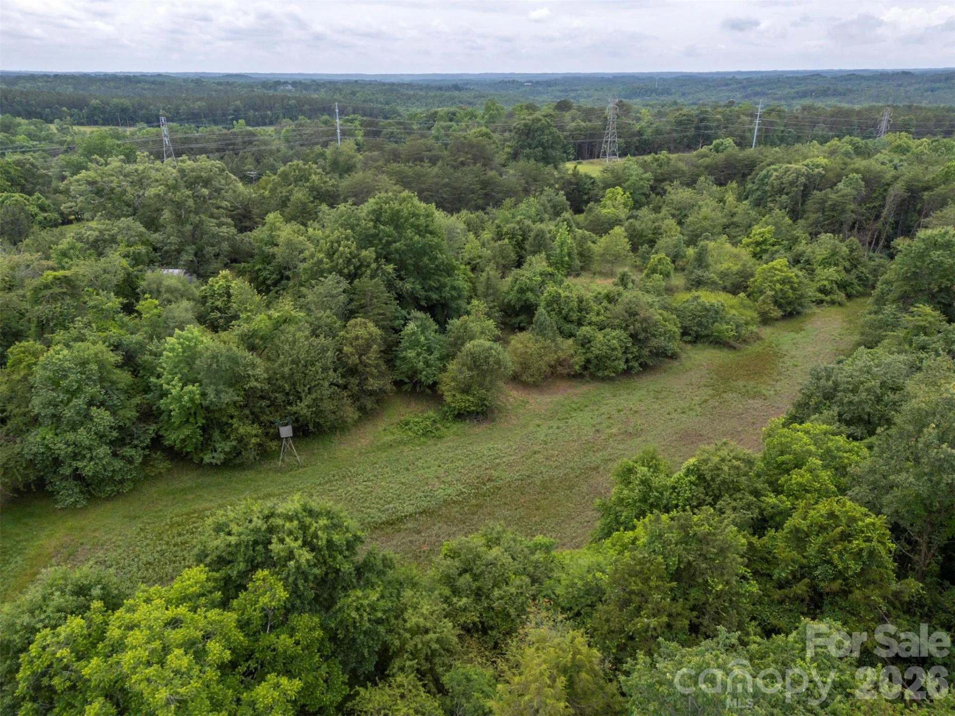 262 Flat Rock Road - Photo 3