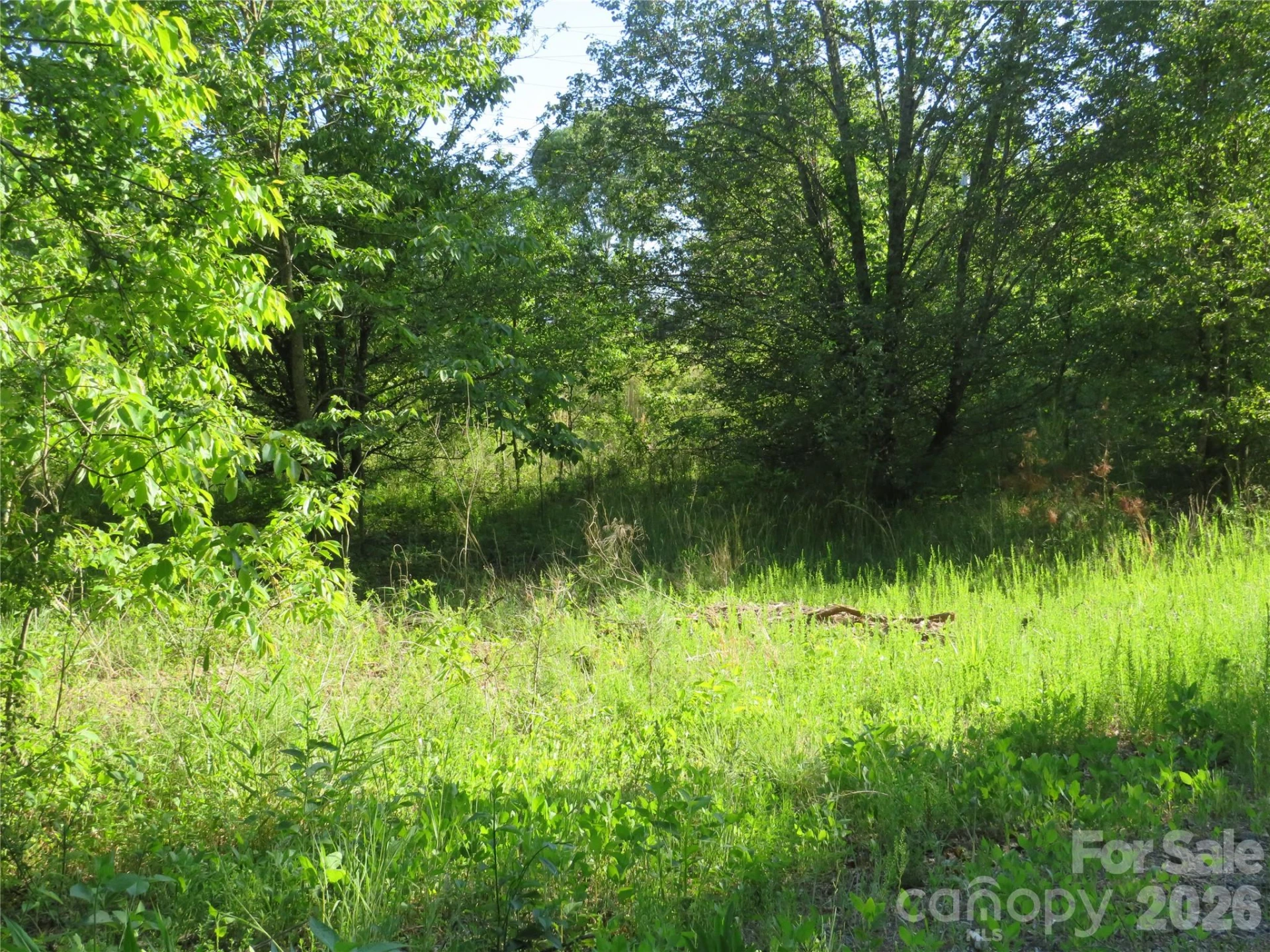 262 Flat Rock Road - Photo 21