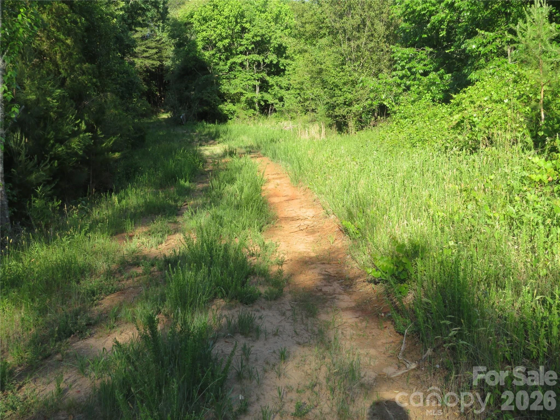 262 Flat Rock Road - Photo 22