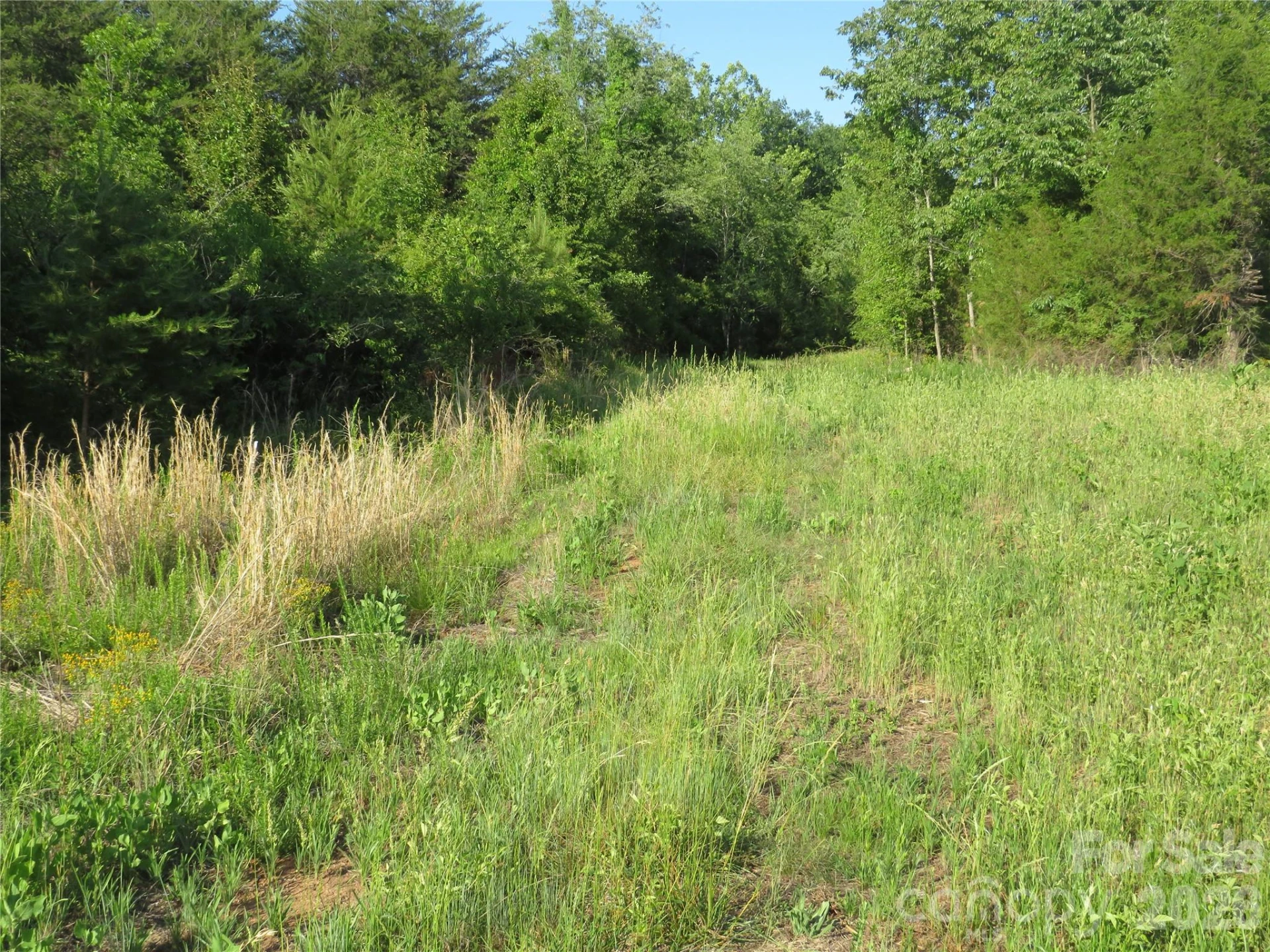 262 Flat Rock Road - Photo 23
