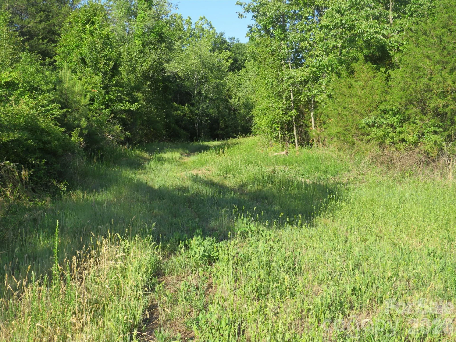 262 Flat Rock Road - Photo 24