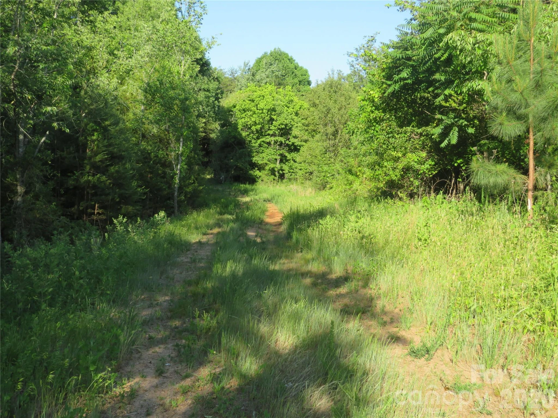 262 Flat Rock Road - Photo 25