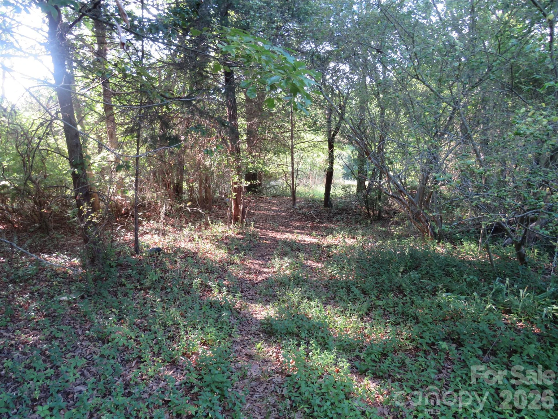262 Flat Rock Road - Photo 28