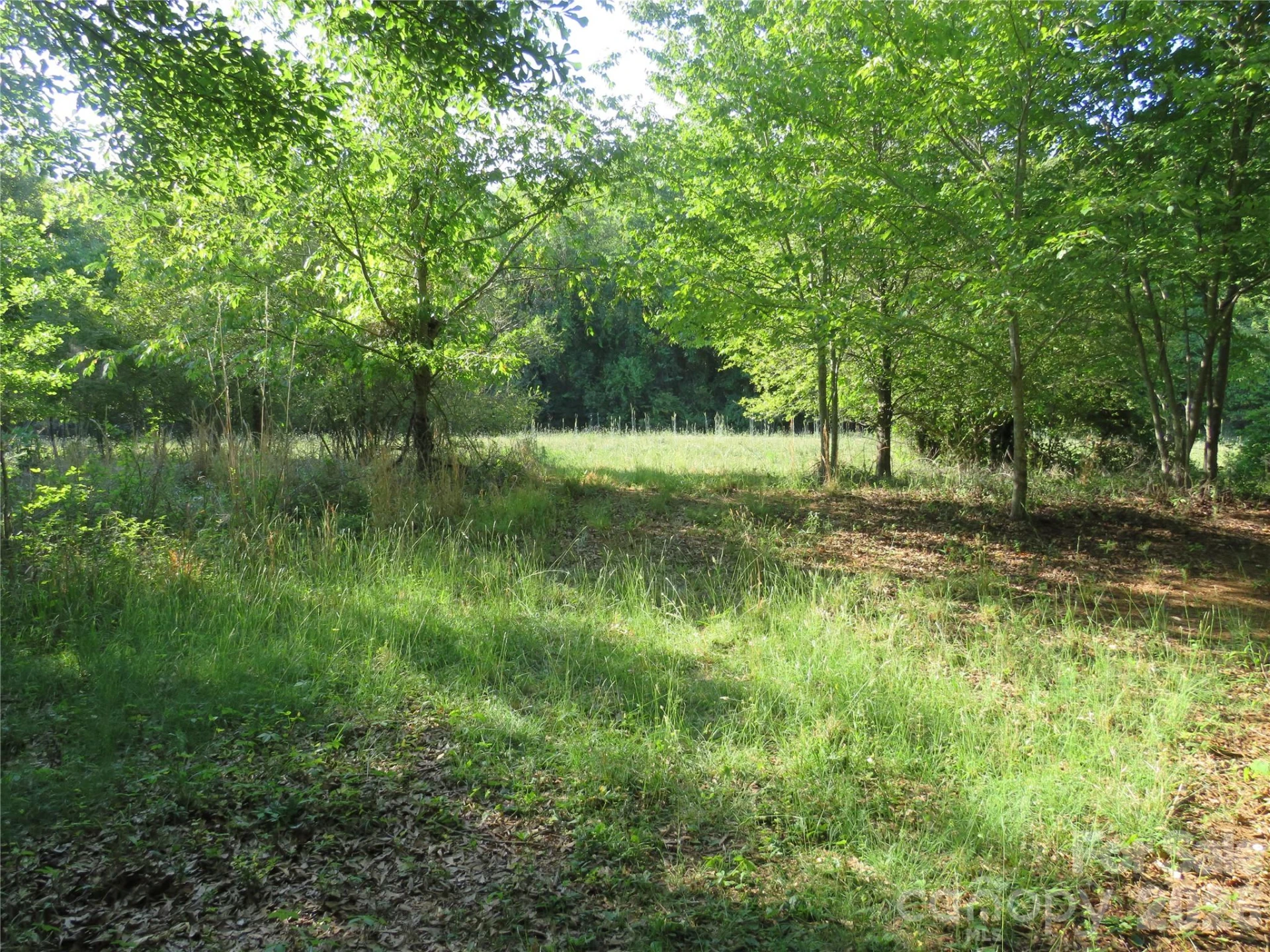 262 Flat Rock Road - Photo 29
