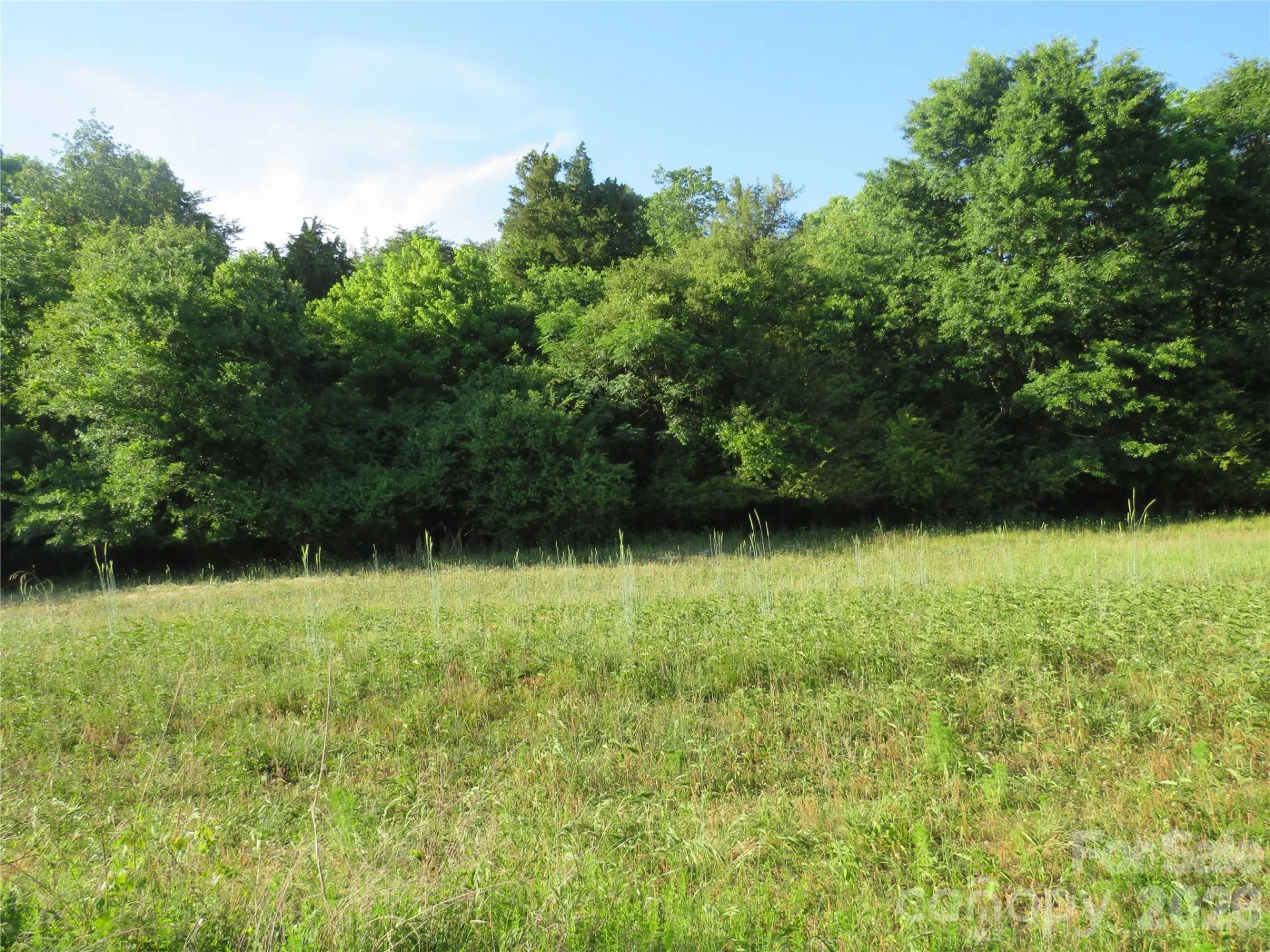 262 Flat Rock Road - Photo 30