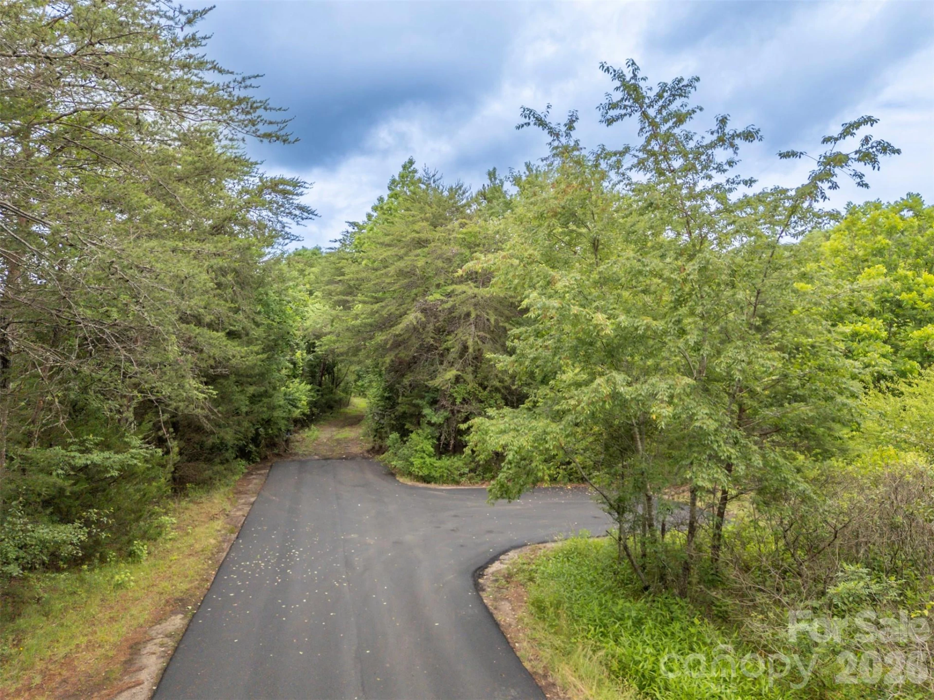 262 Flat Rock Road - Photo 4