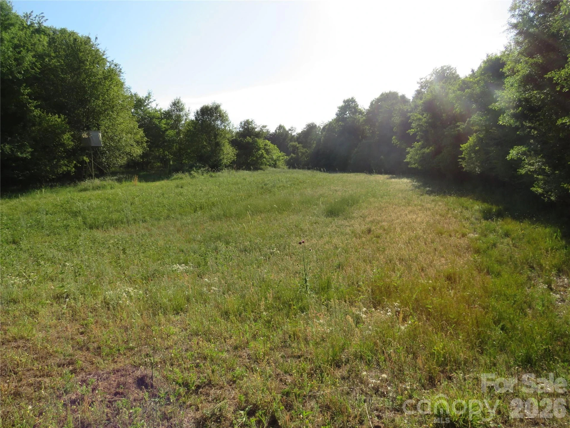 262 Flat Rock Road - Photo 32