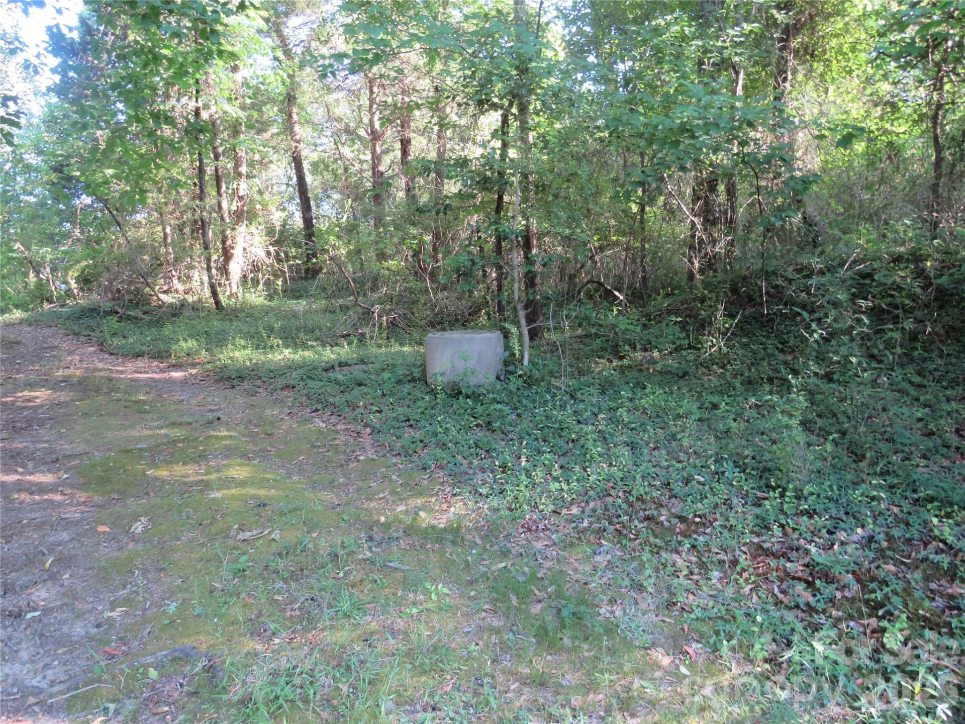 262 Flat Rock Road - Photo 33