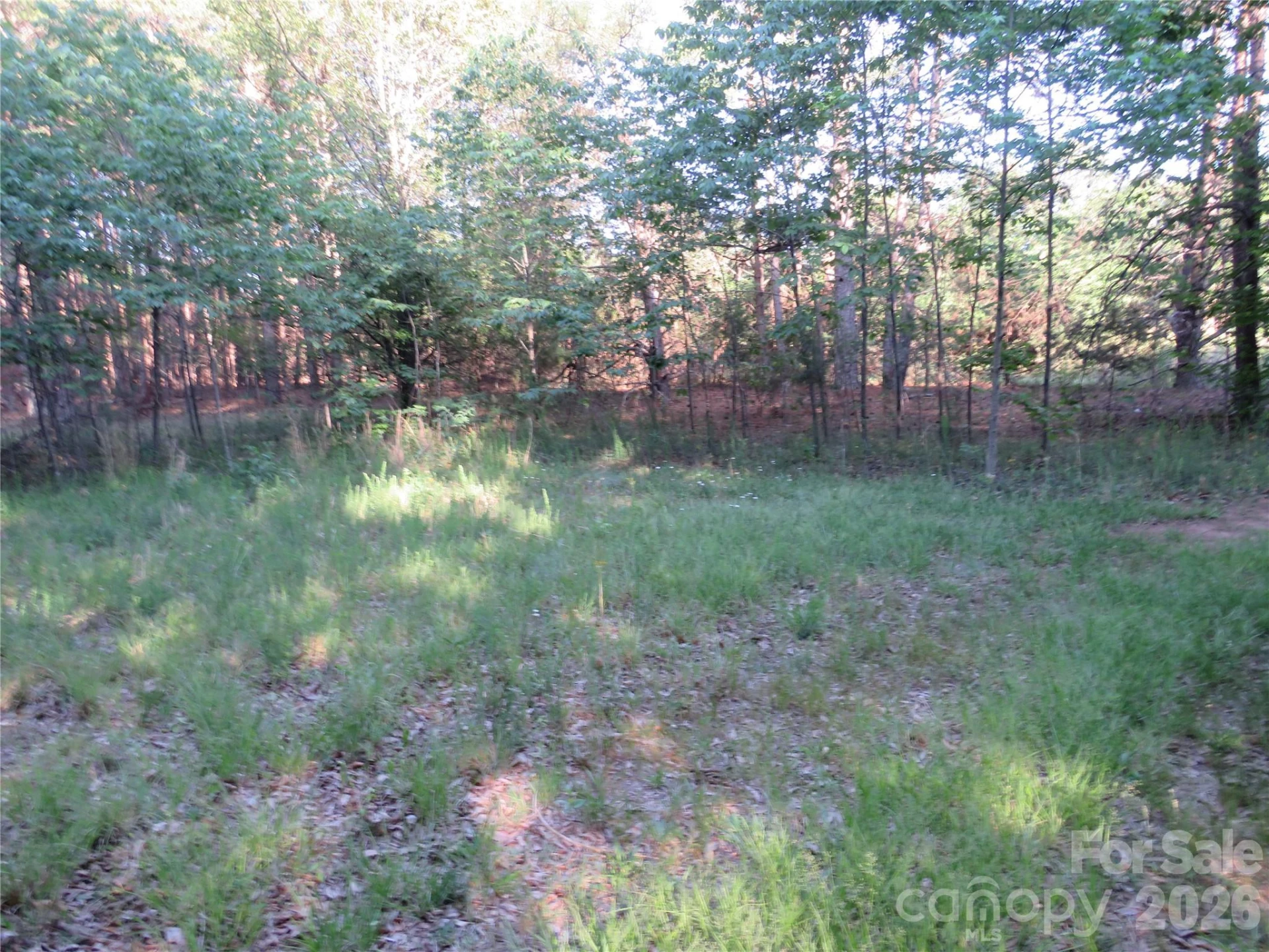 262 Flat Rock Road - Photo 34