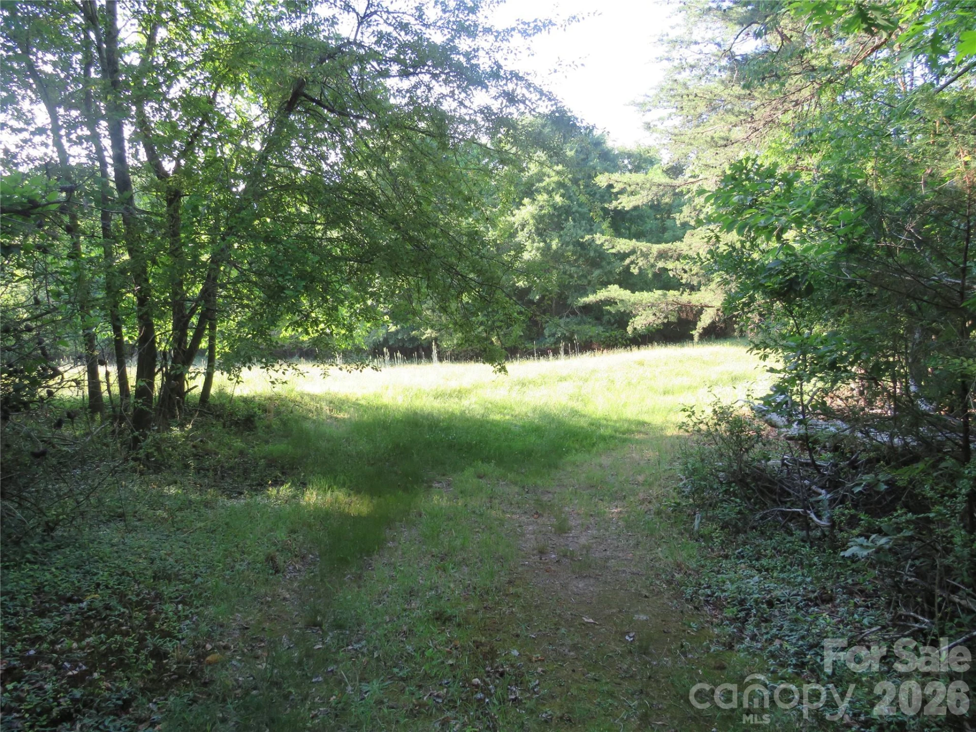 262 Flat Rock Road - Photo 35