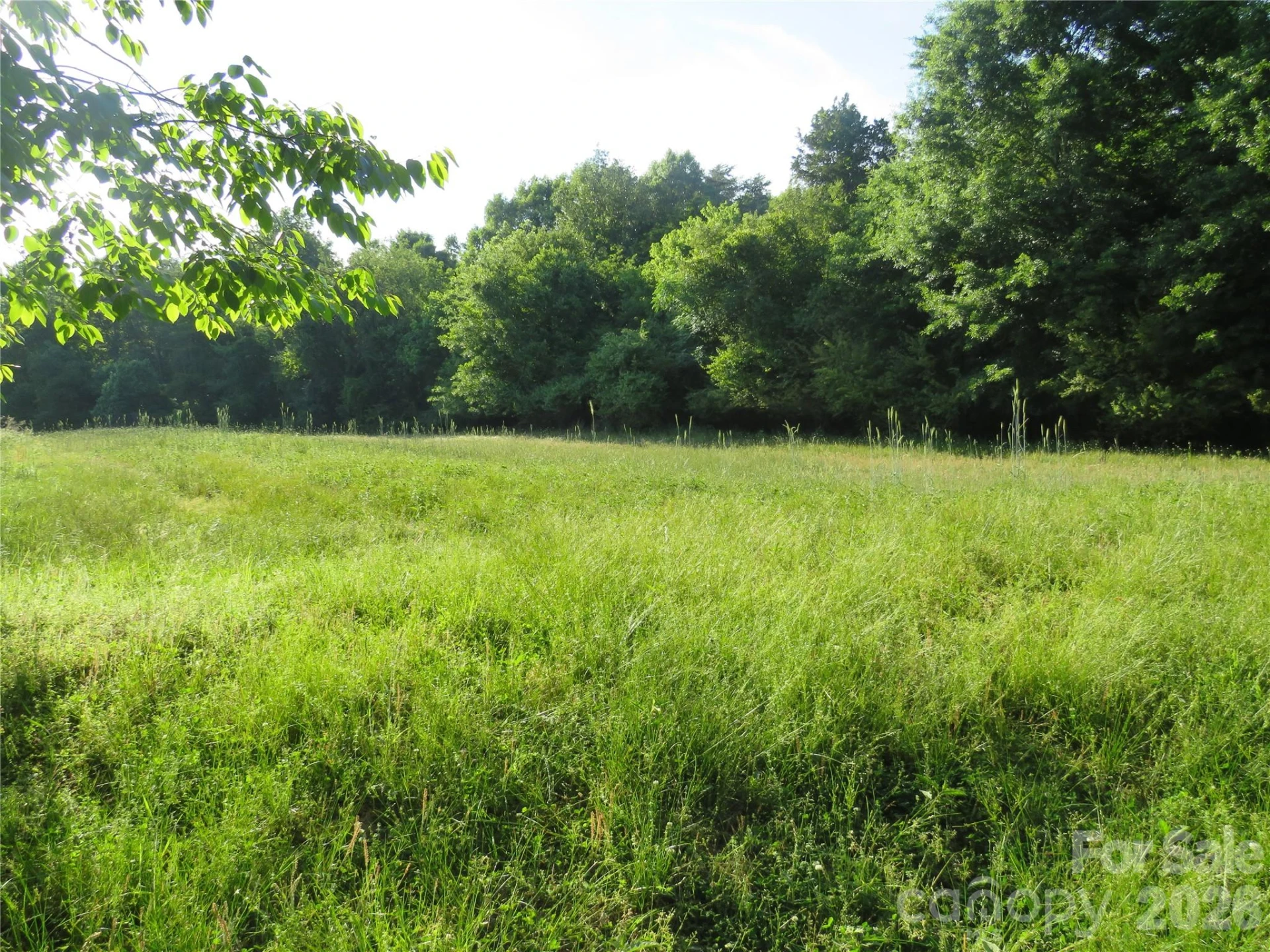 262 Flat Rock Road - Photo 36