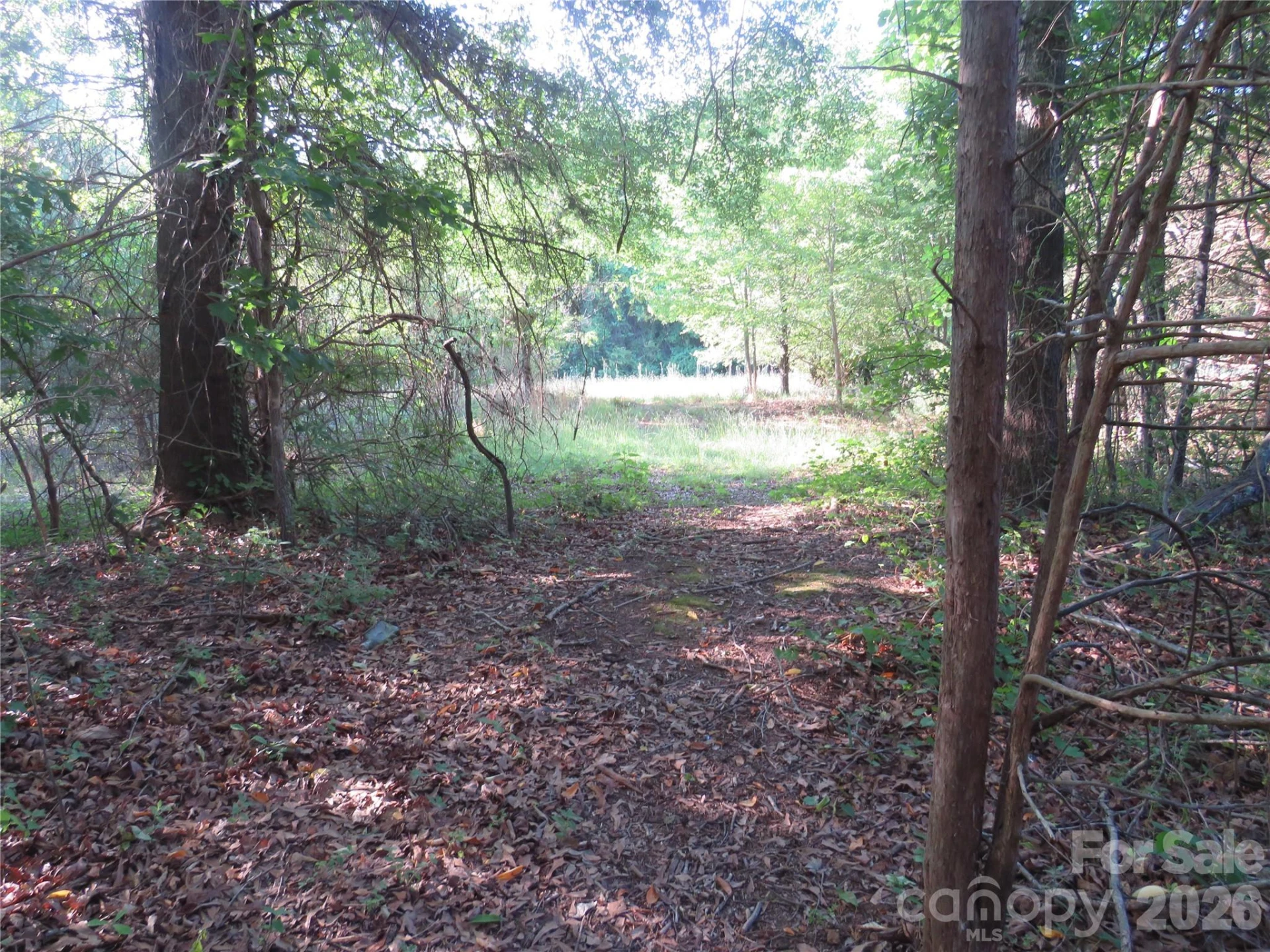 262 Flat Rock Road - Photo 37