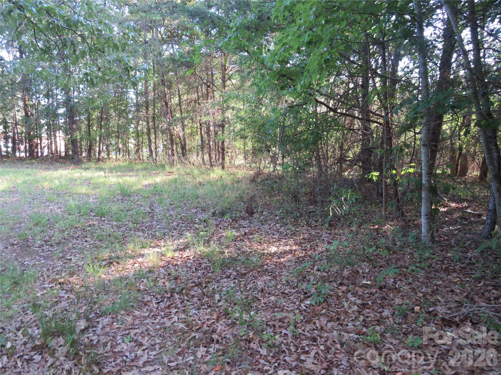 262 Flat Rock Road - Photo 39