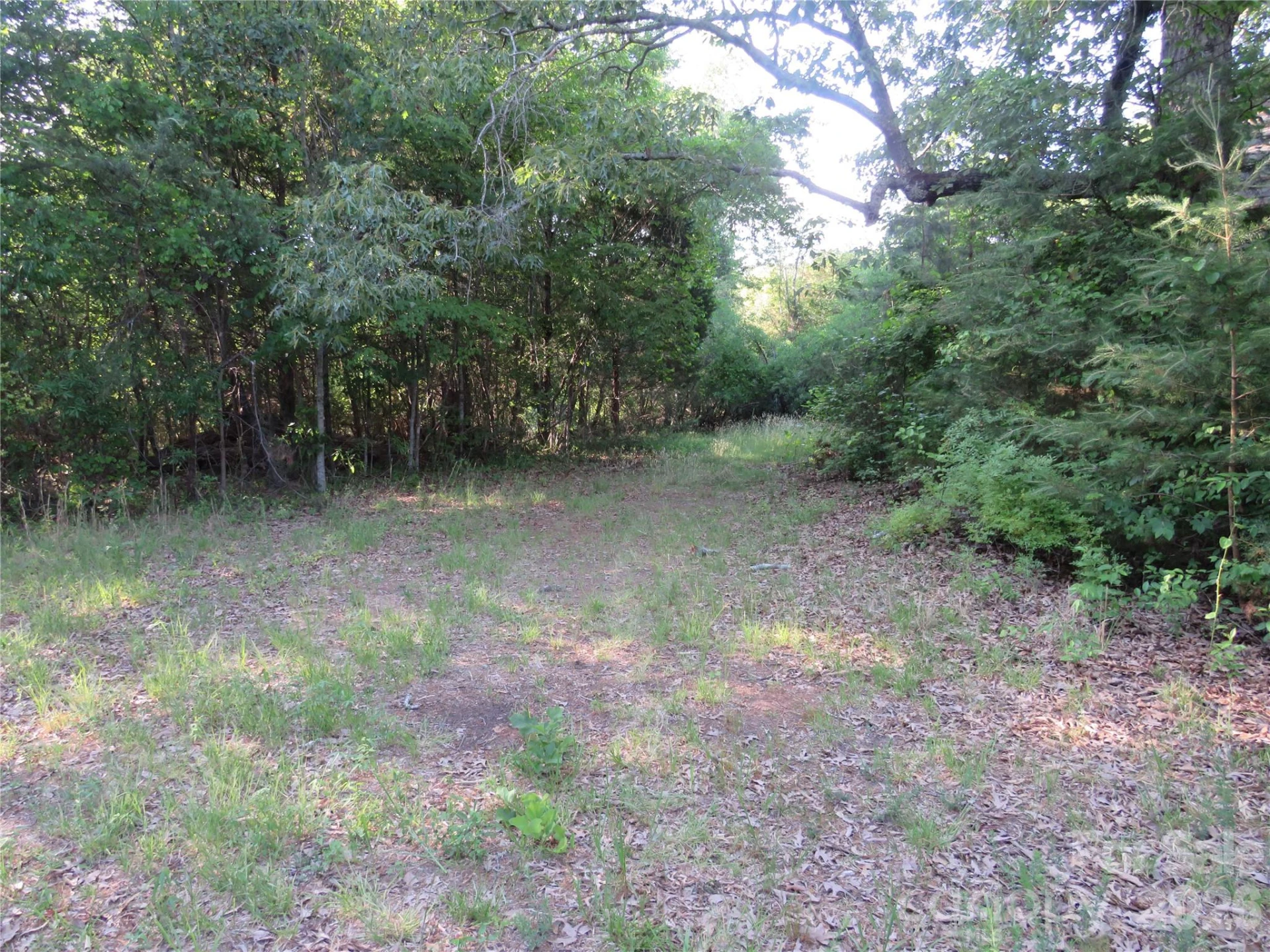 262 Flat Rock Road - Photo 40
