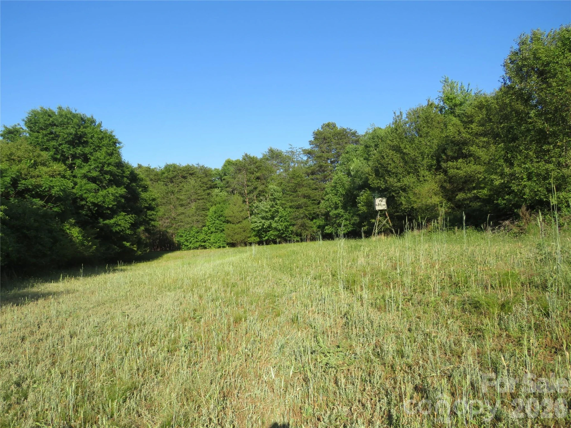 262 Flat Rock Road - Photo 5
