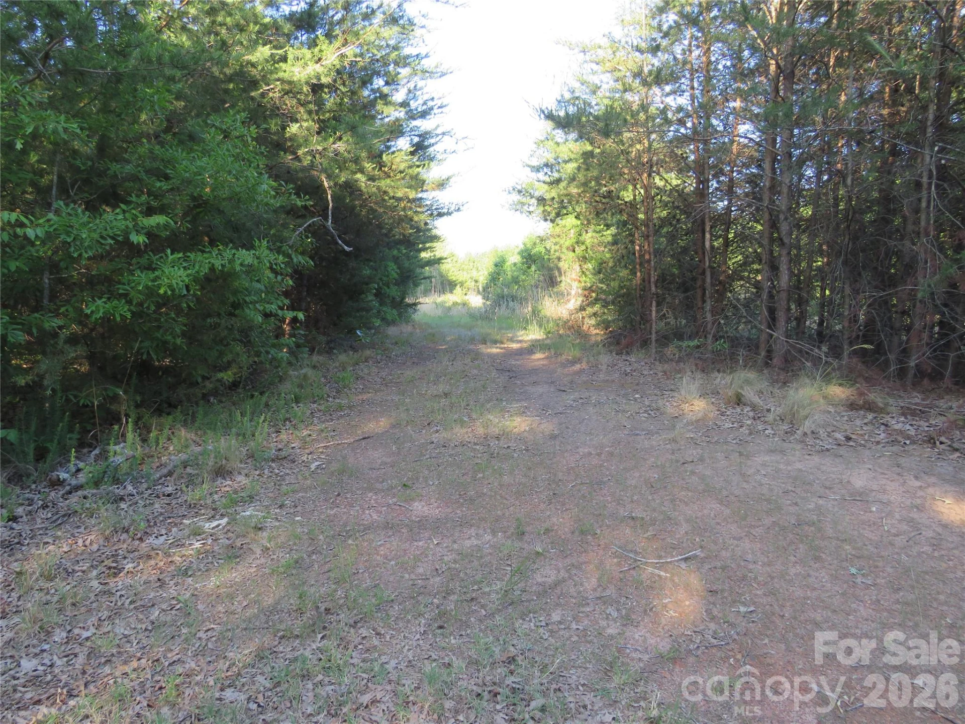 262 Flat Rock Road - Photo 41