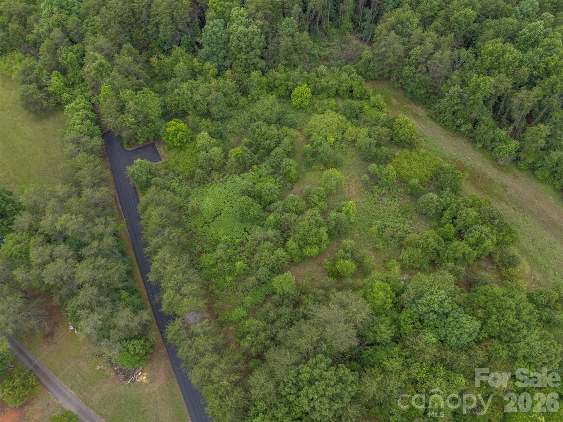 262 Flat Rock Road - Photo 6