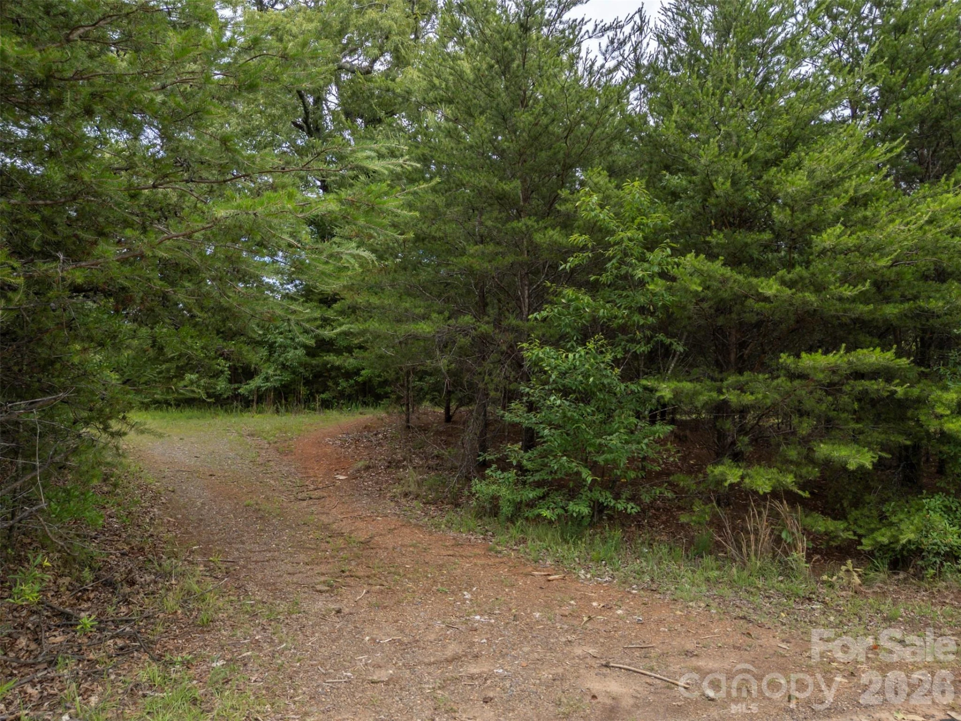 262 Flat Rock Road - Photo 7