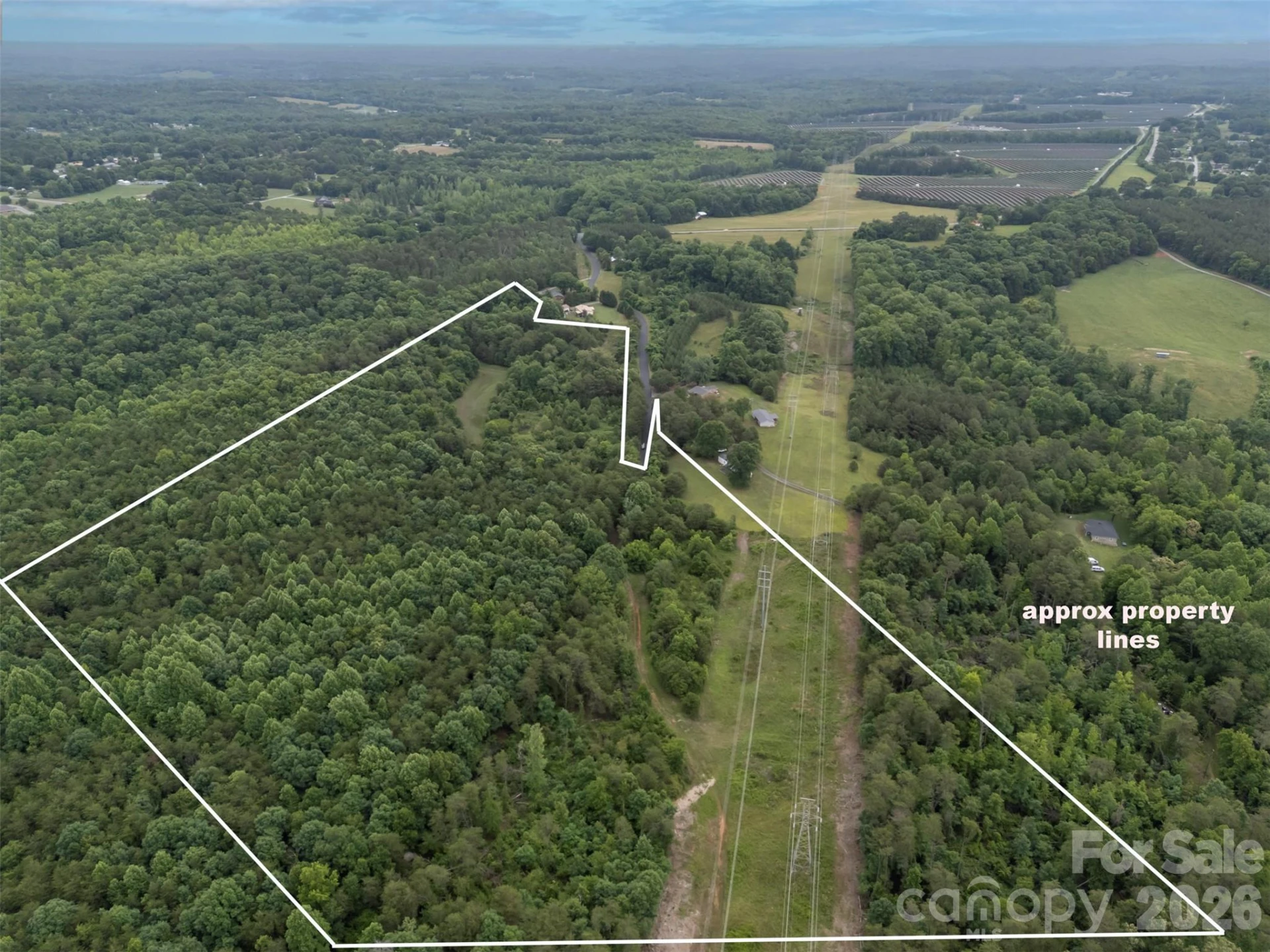 262 Flat Rock Road - Photo 9