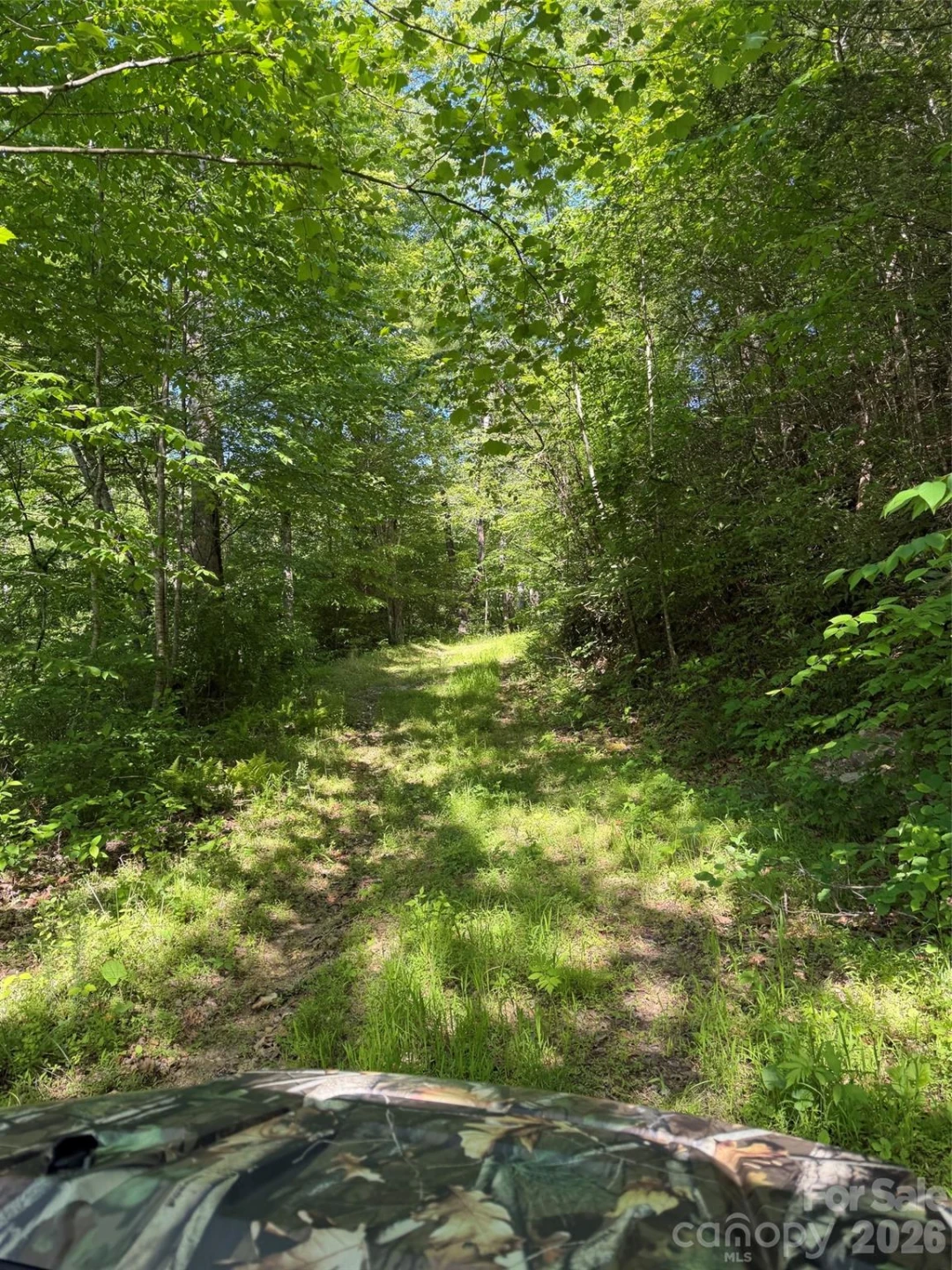Lot 8 Parker Padgett Road - Photo 2