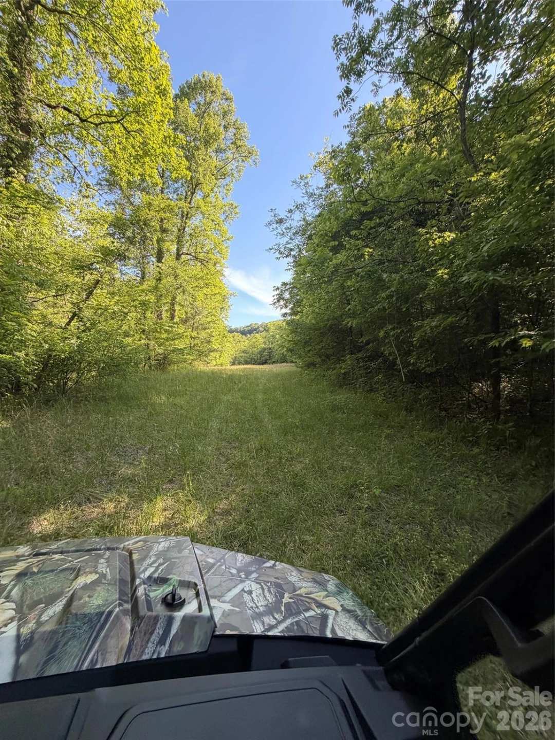Lot 8 Parker Padgett Road - Photo 5