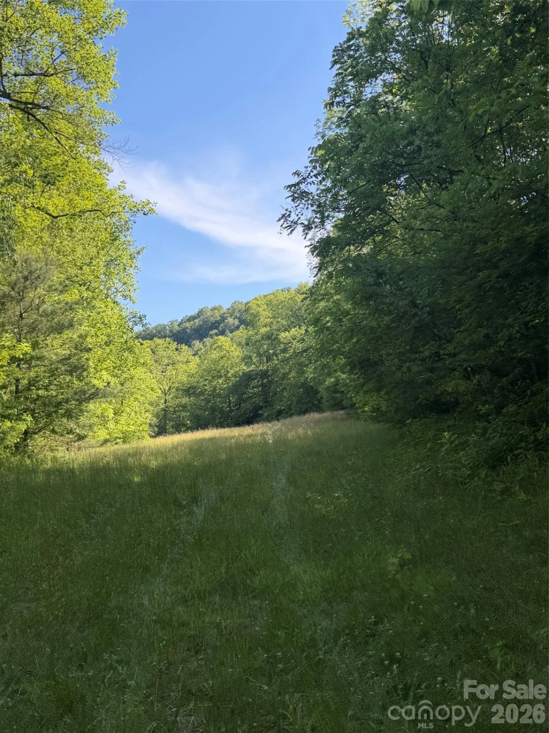 Lot 8 Parker Padgett Road - Photo 6