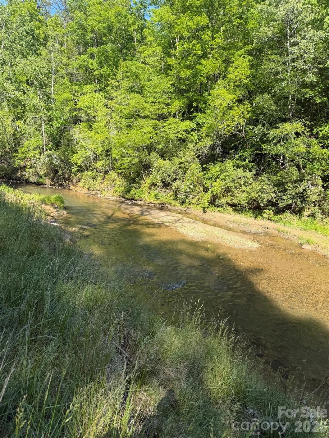 Lot 8 Parker Padgett Road - Photo 7