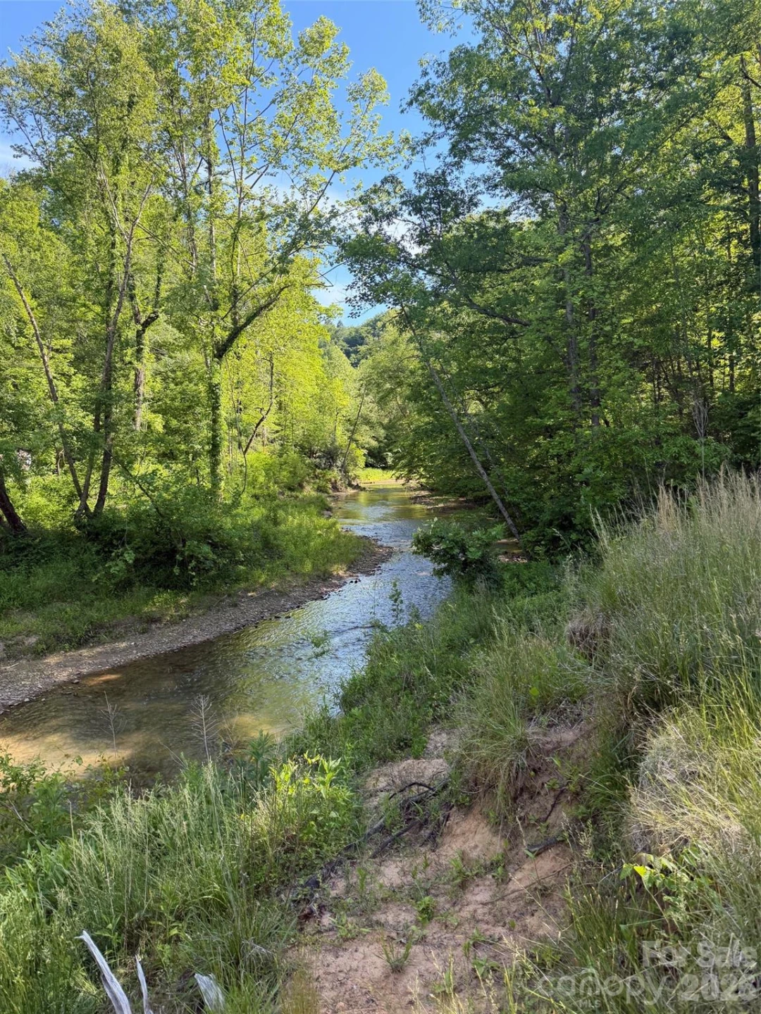 Lot 8 Parker Padgett Road - Photo 8