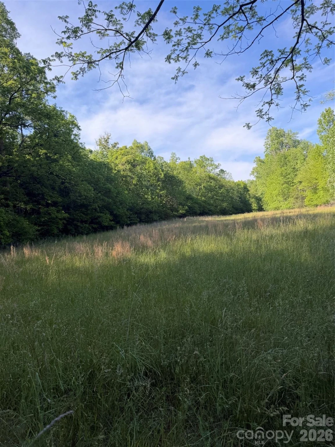 Lot 8 Parker Padgett Road - Photo 9