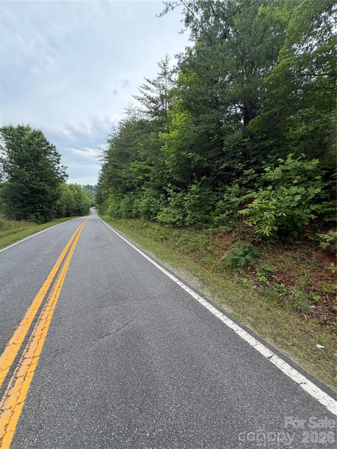 Lot 9 Parker Padgett Road - Photo 3