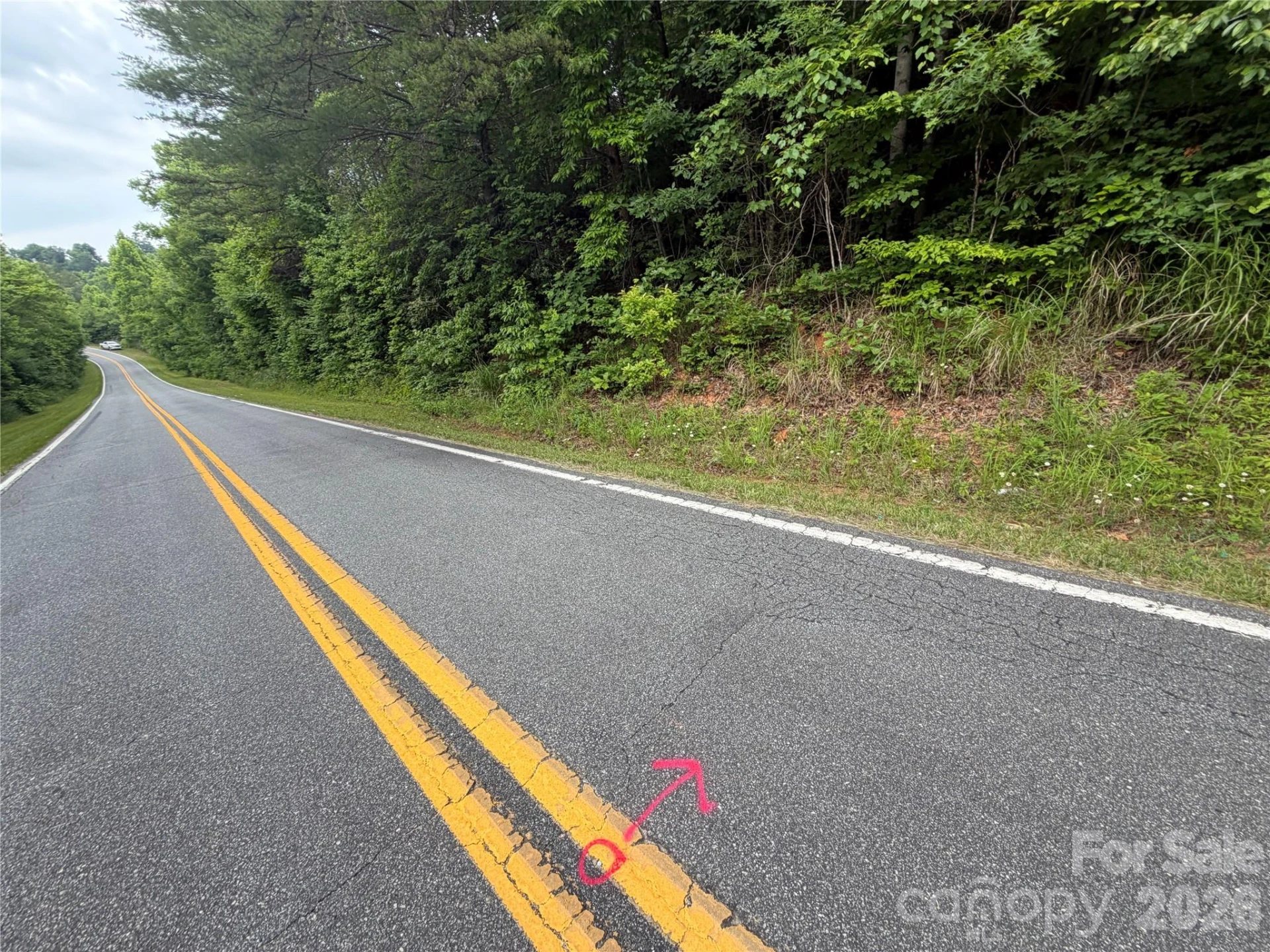 Lot 10 Parker Padgett Road - Photo 3