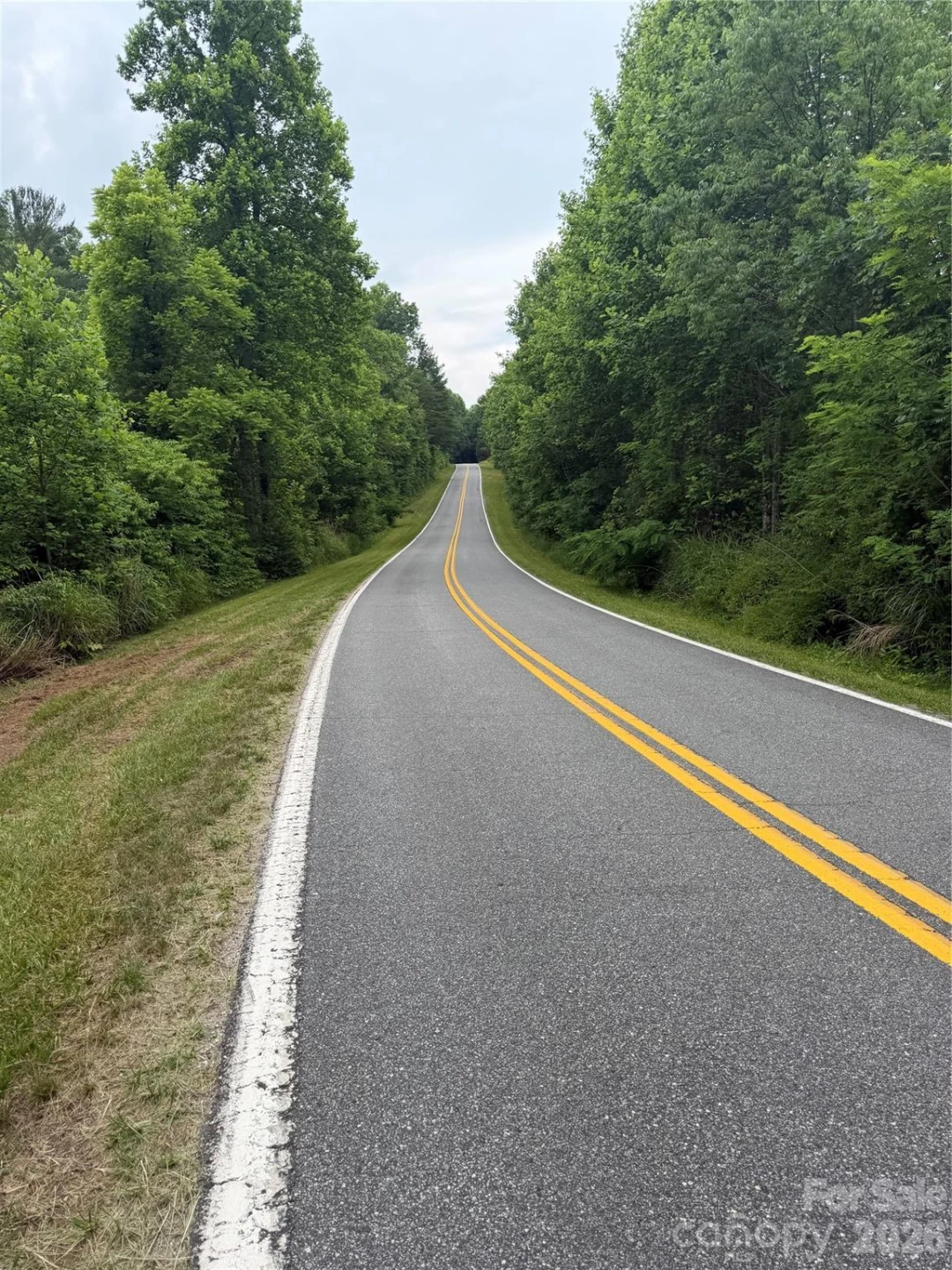 Lot 11 Parker Padgett Road - Photo 3