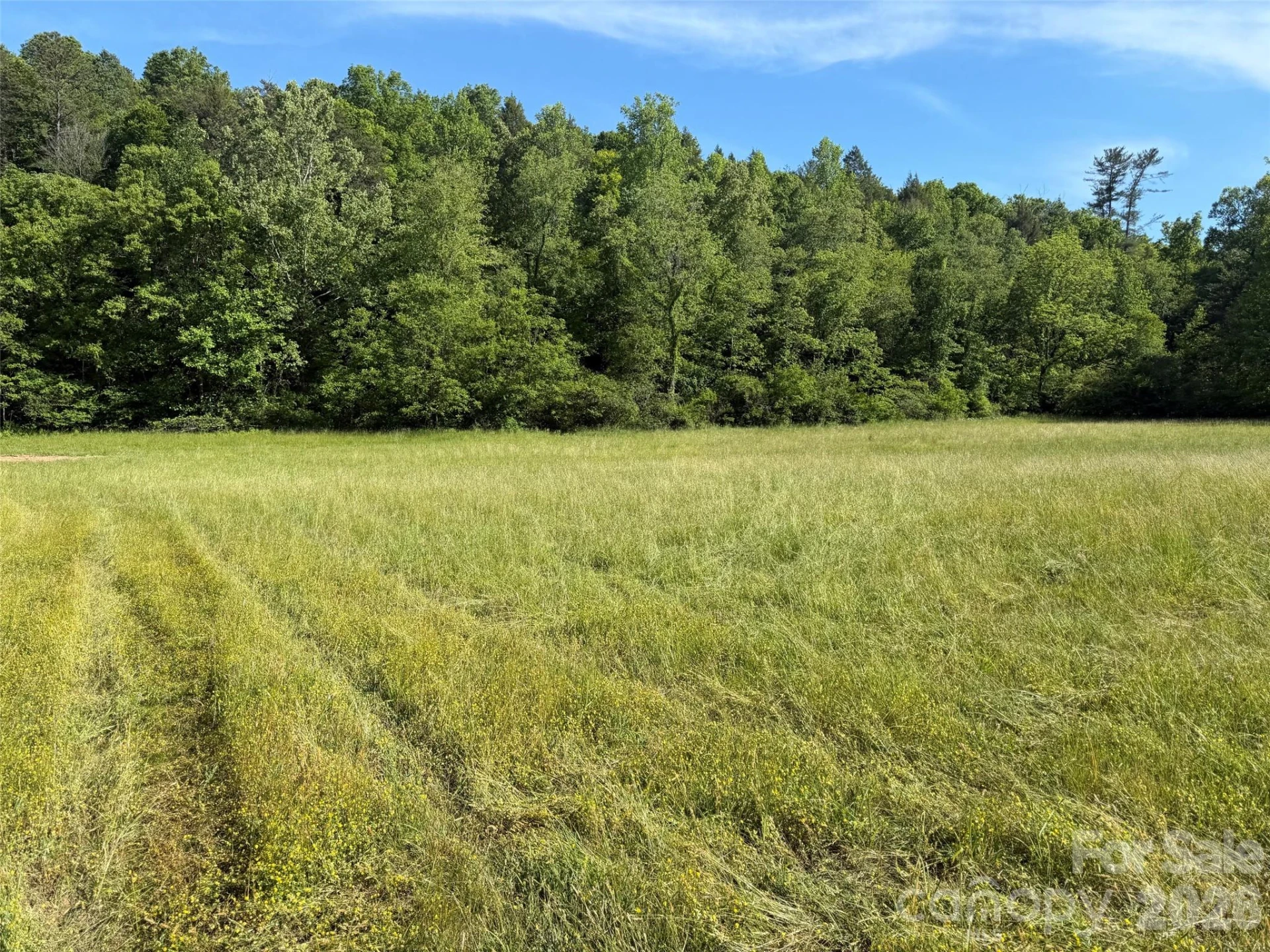 Lot 12 Parker Padgett Road - Photo 2