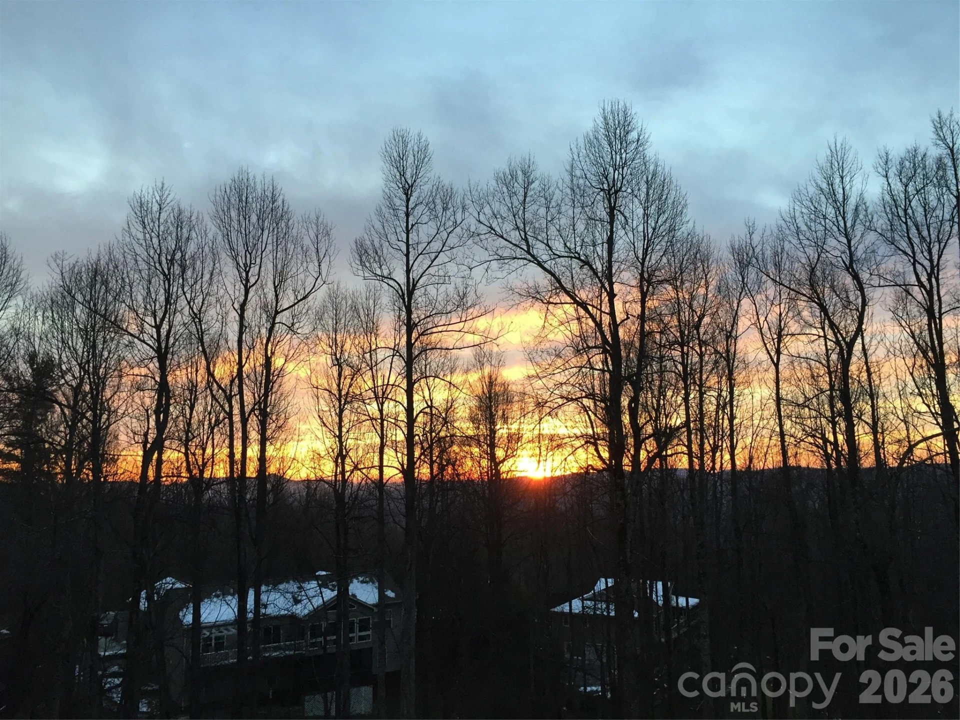 25 Linden Turn - Photo 47
