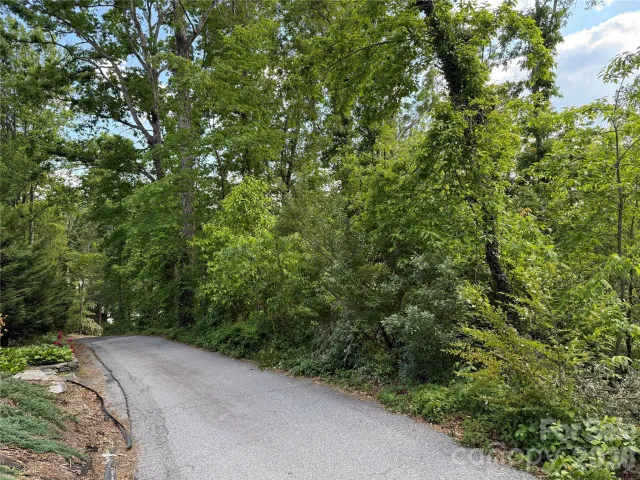 53 Will Road, Hendersonville, NC, 28792