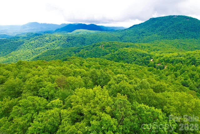 215 Laurel Mountain Trail, Black Mountain, NC, 28711